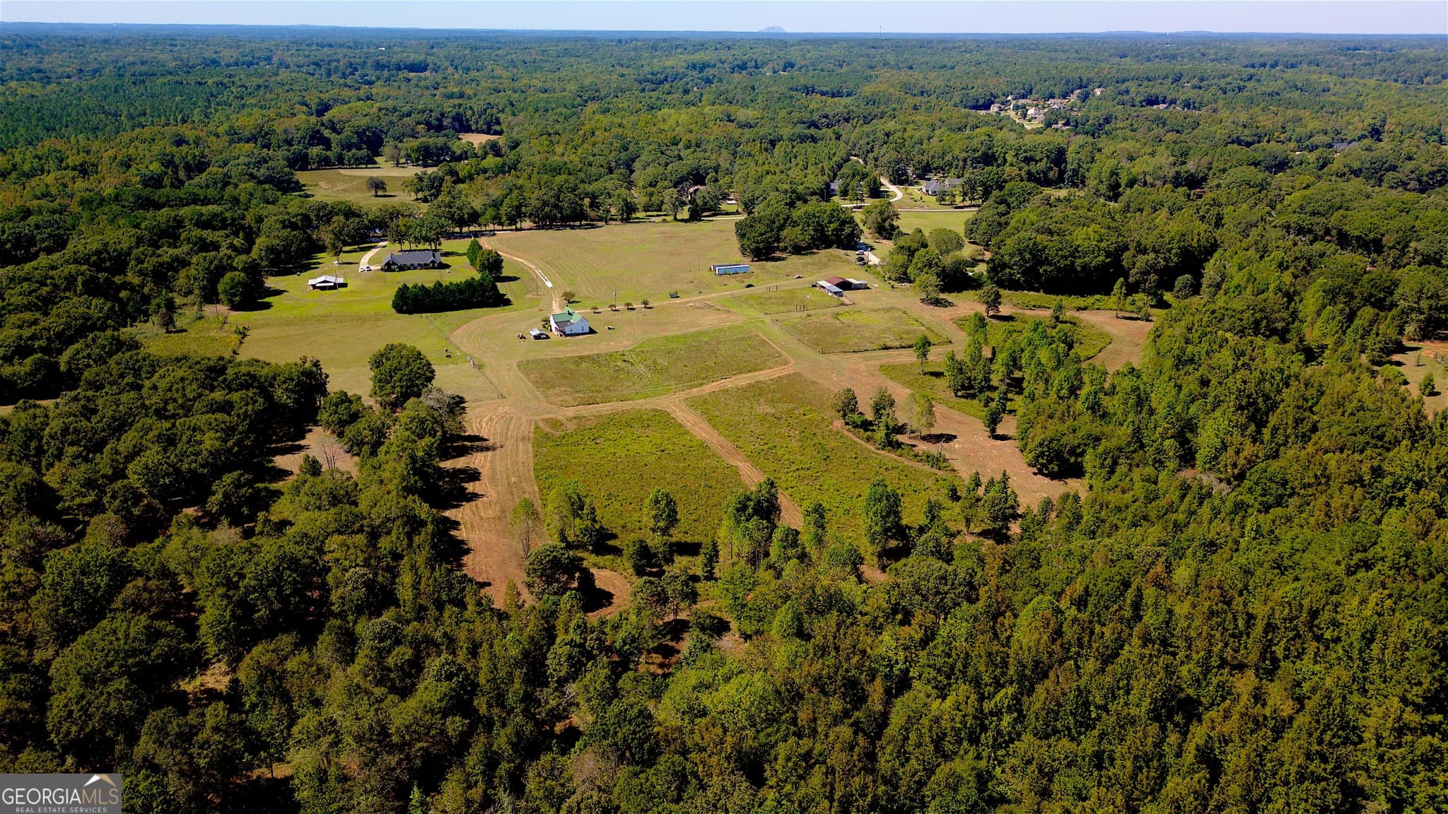 agriculture for sale at 4230 Gauntt Road, Covington, GA 30014 — photo 6
