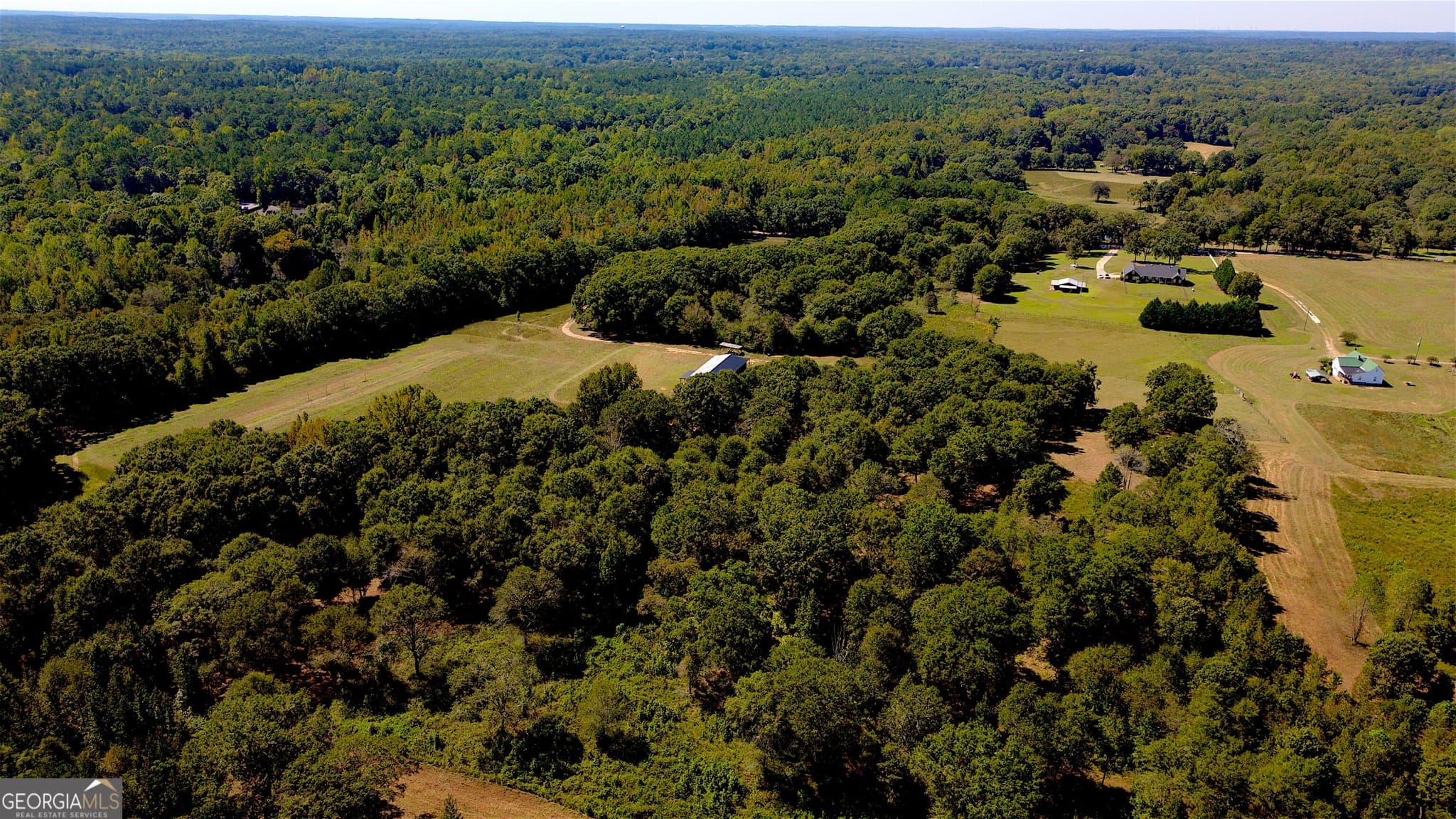 agriculture for sale at 4230 Gauntt Road, Covington, GA 30014 — photo 7