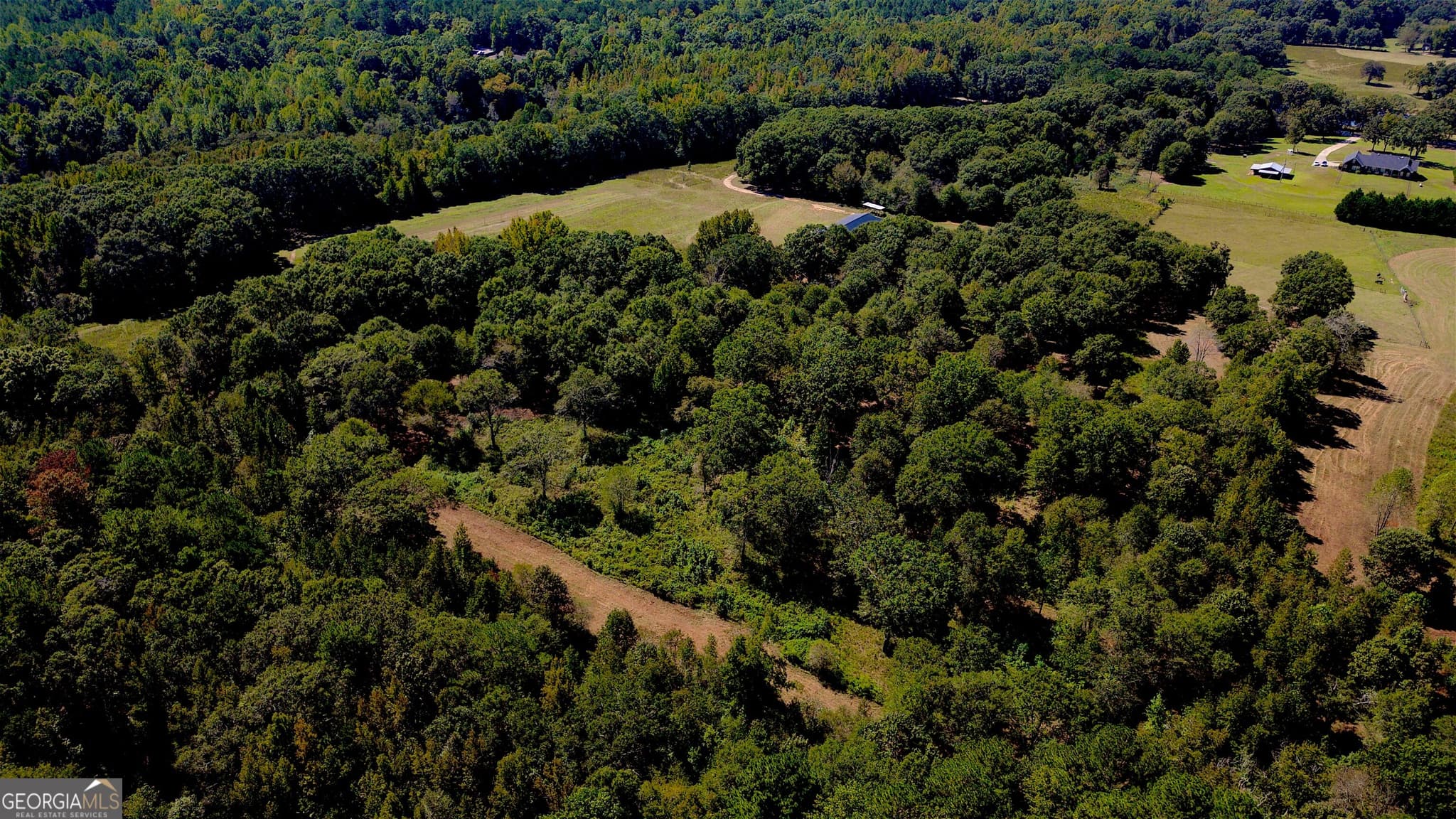 agriculture for sale at 4230 Gauntt Road, Covington, GA 30014 — photo 5