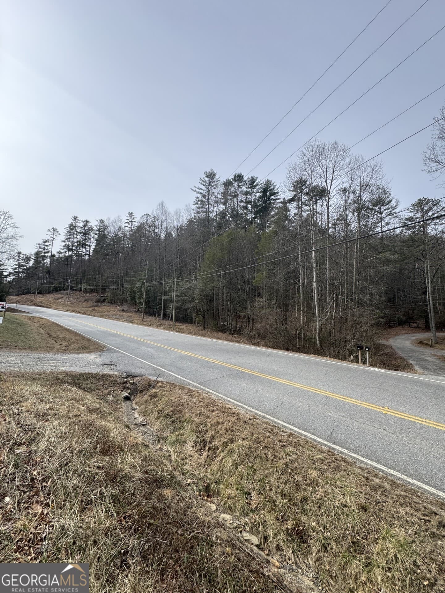 unimproved land for sale at 0 Hwy 17/75, Hiawassee, GA 30546 — photo 2