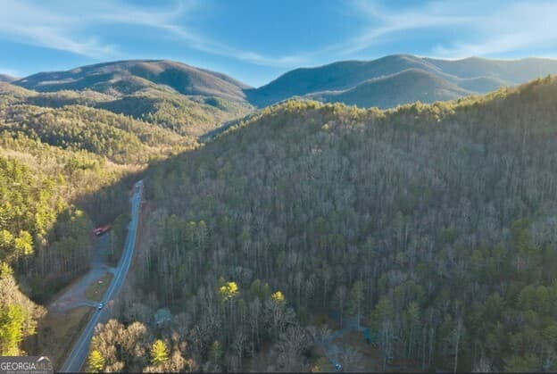 unimproved land for sale at 0 Hwy 17/75, Hiawassee, GA 30546 — photo 6