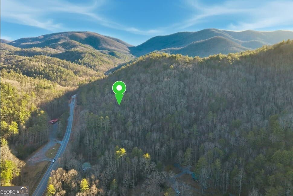 unimproved land for sale at 0 Hwy 17/75, Hiawassee, GA 30546 — photo 7