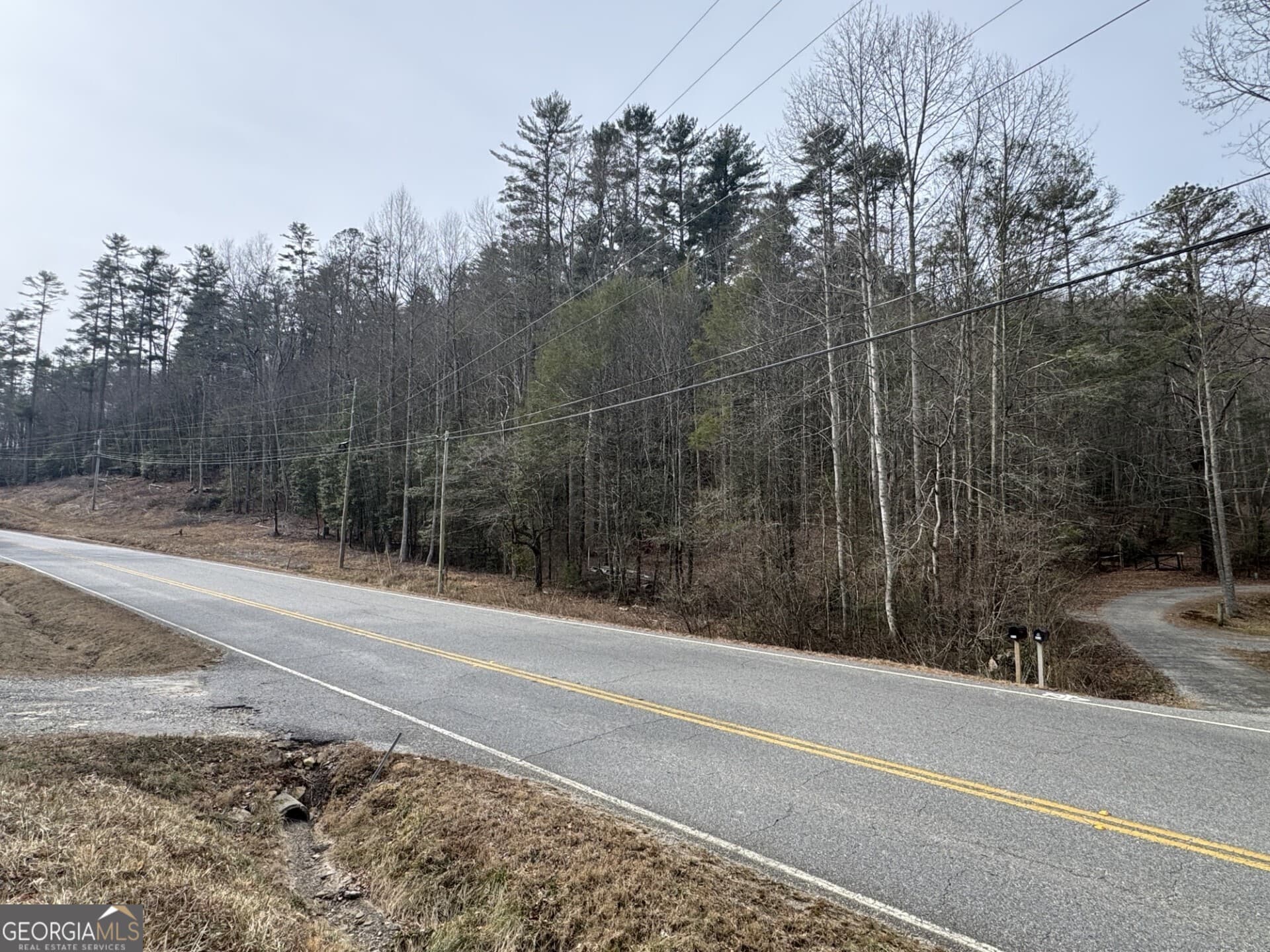 unimproved land for sale at 0 Hwy 17/75, Hiawassee, GA 30546 — photo 3