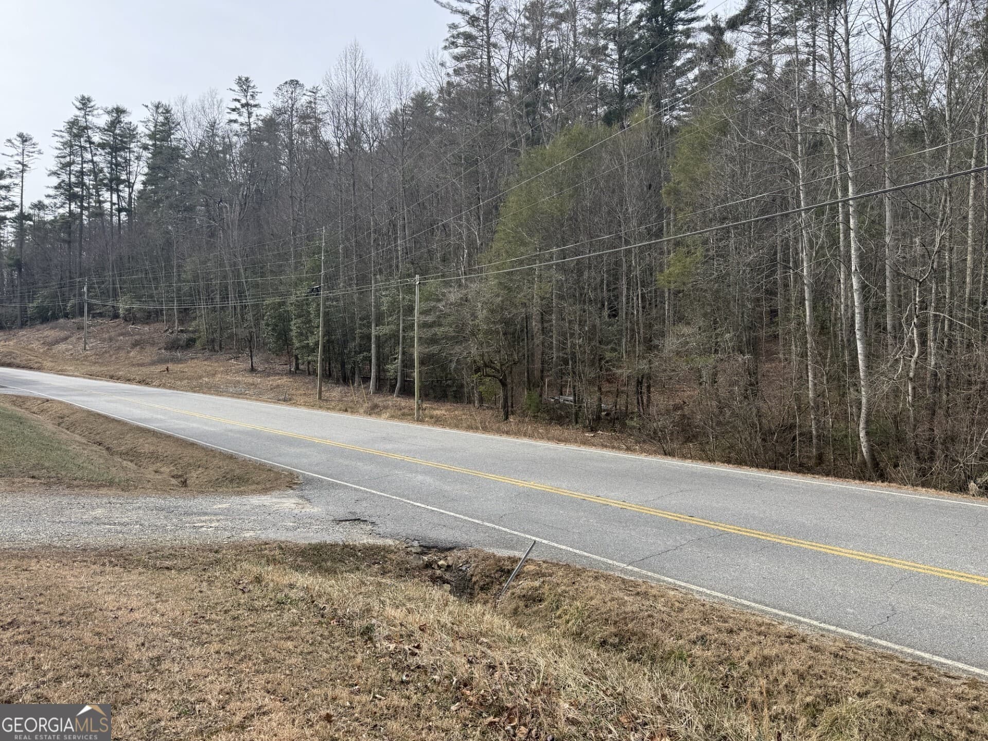 unimproved land for sale at 0 Hwy 17/75, Hiawassee, GA 30546 — photo 5