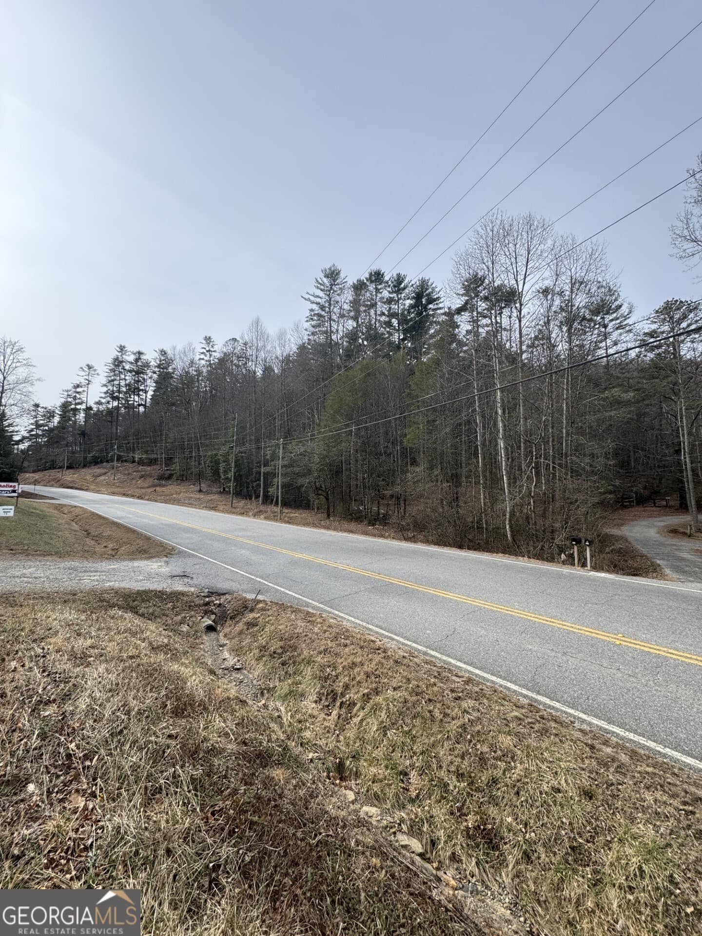 unimproved land for sale at 0 Hwy 17/75, Hiawassee, GA 30546 — photo 4