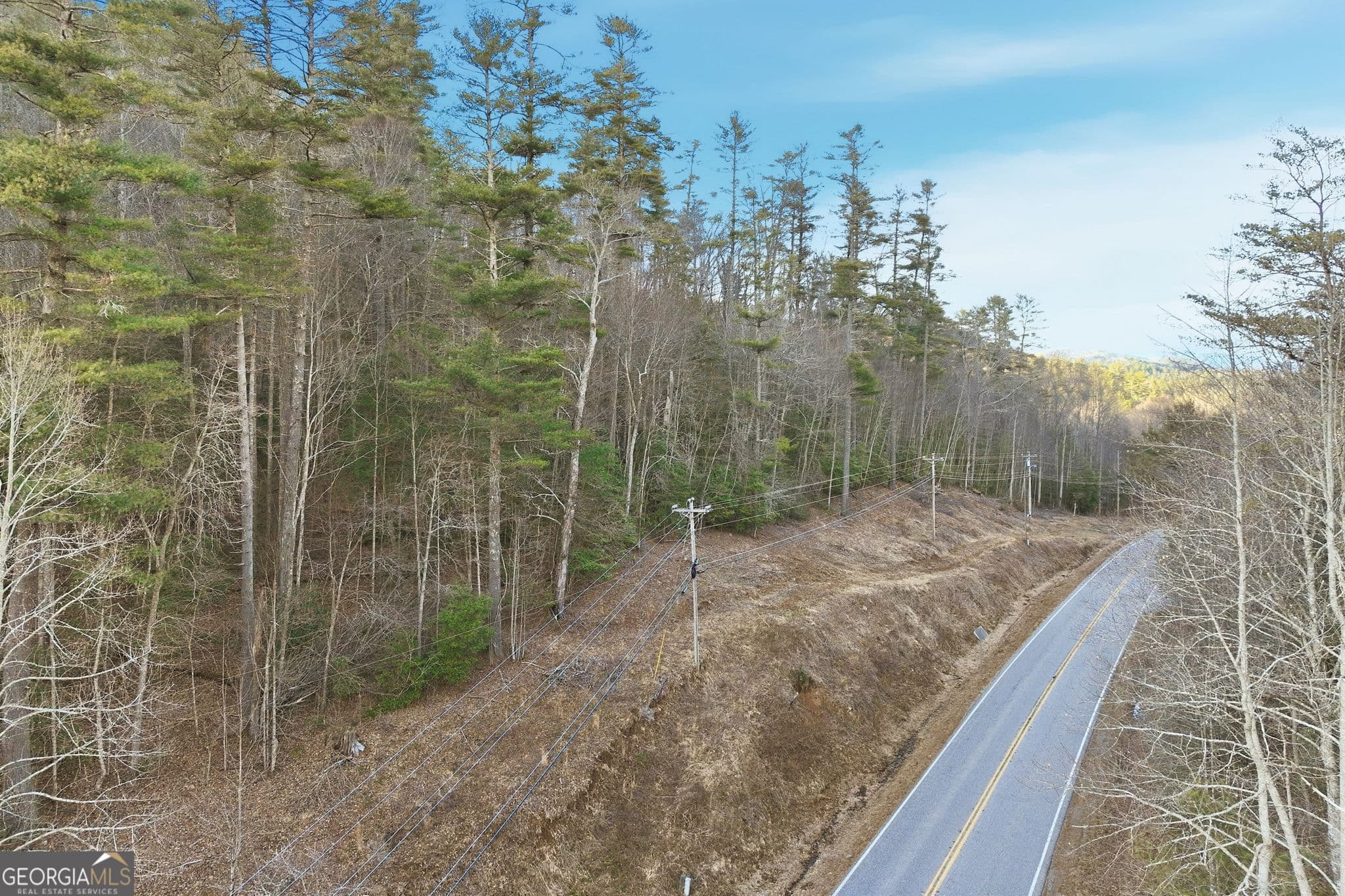 unimproved land for sale at 0 Hwy 17/75, Hiawassee, GA 30546 — photo 8