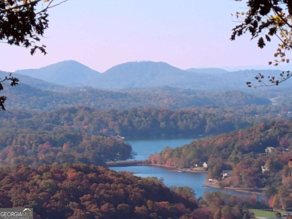 residential lot for sale at 22 Buckhead Hills 22, Hiawassee, GA 30546 — photo 6
