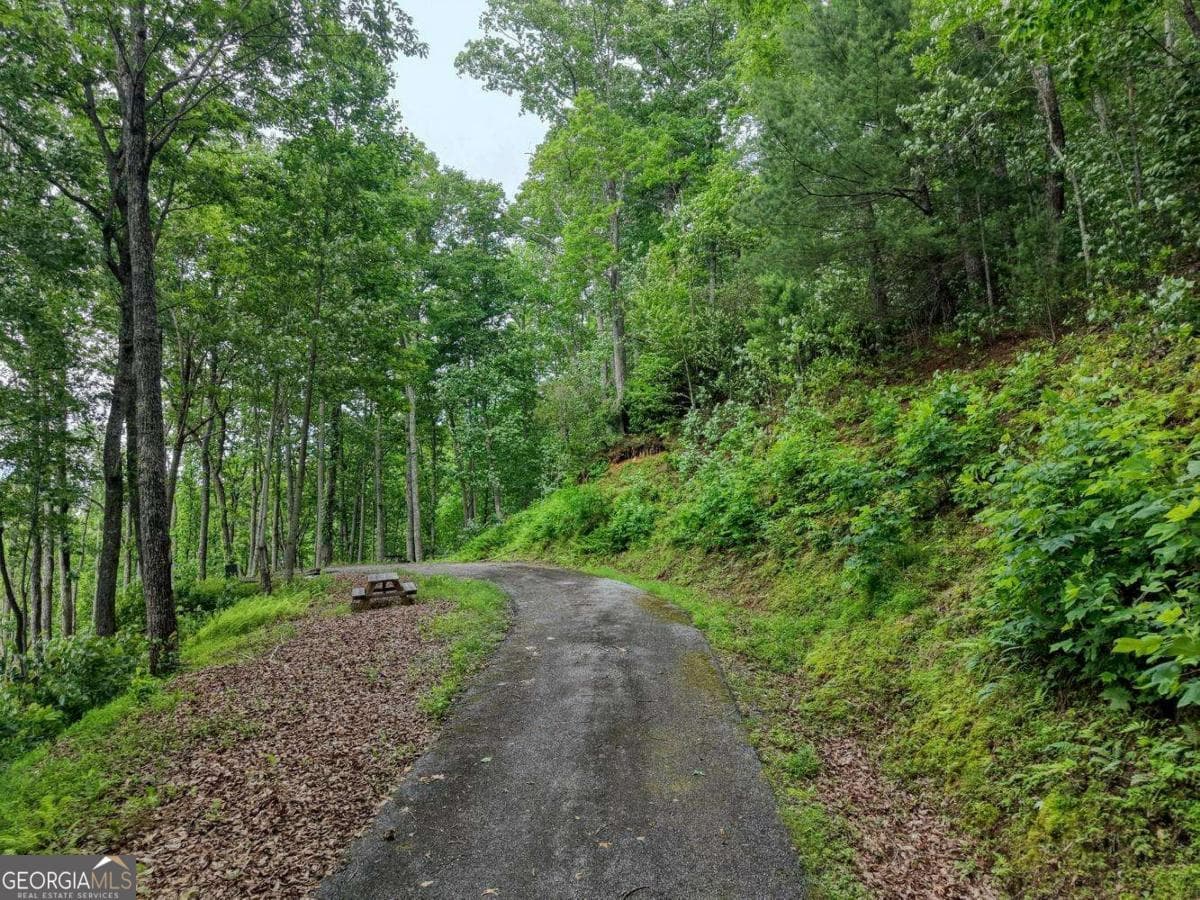 residential lot for sale at 22 Buckhead Hills 22, Hiawassee, GA 30546 — photo 3