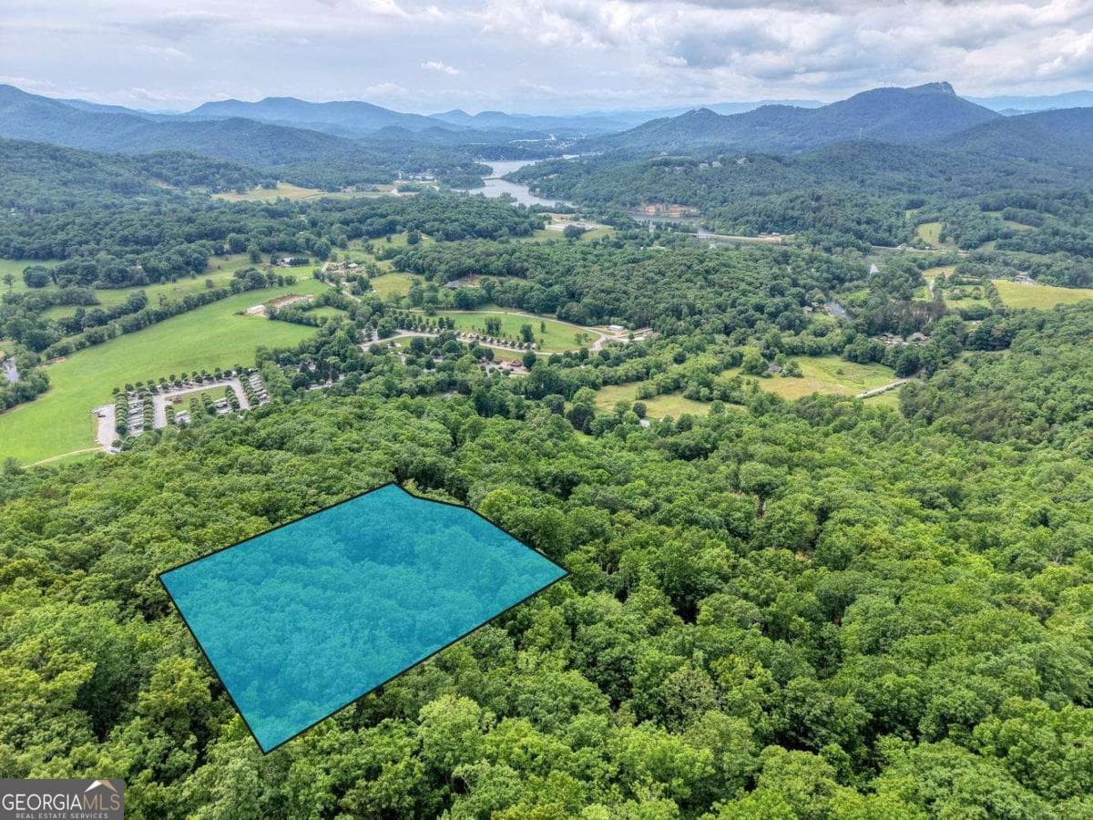 residential lot for sale at 22 Buckhead Hills 22, Hiawassee, GA 30546 — photo 5