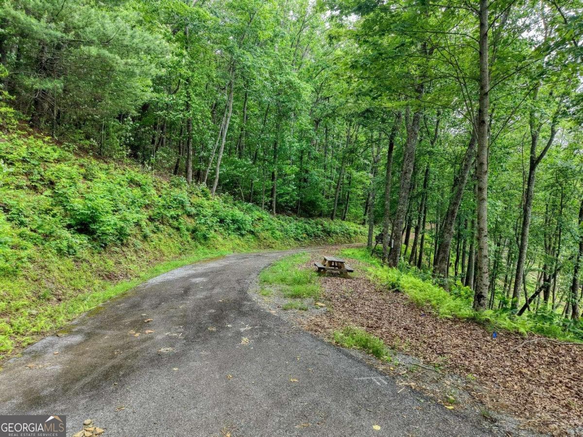 residential lot for sale at 22 Buckhead Hills 22, Hiawassee, GA 30546 — photo 4