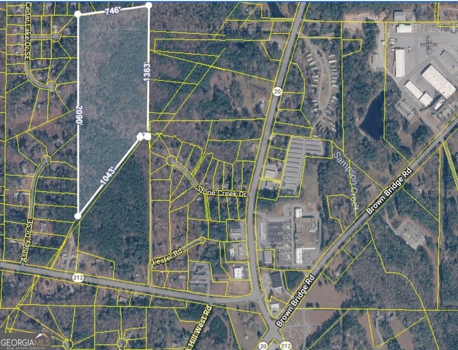 agriculture for sale at 0 SE Highway 212, Conyers, GA 30094 — photo 2