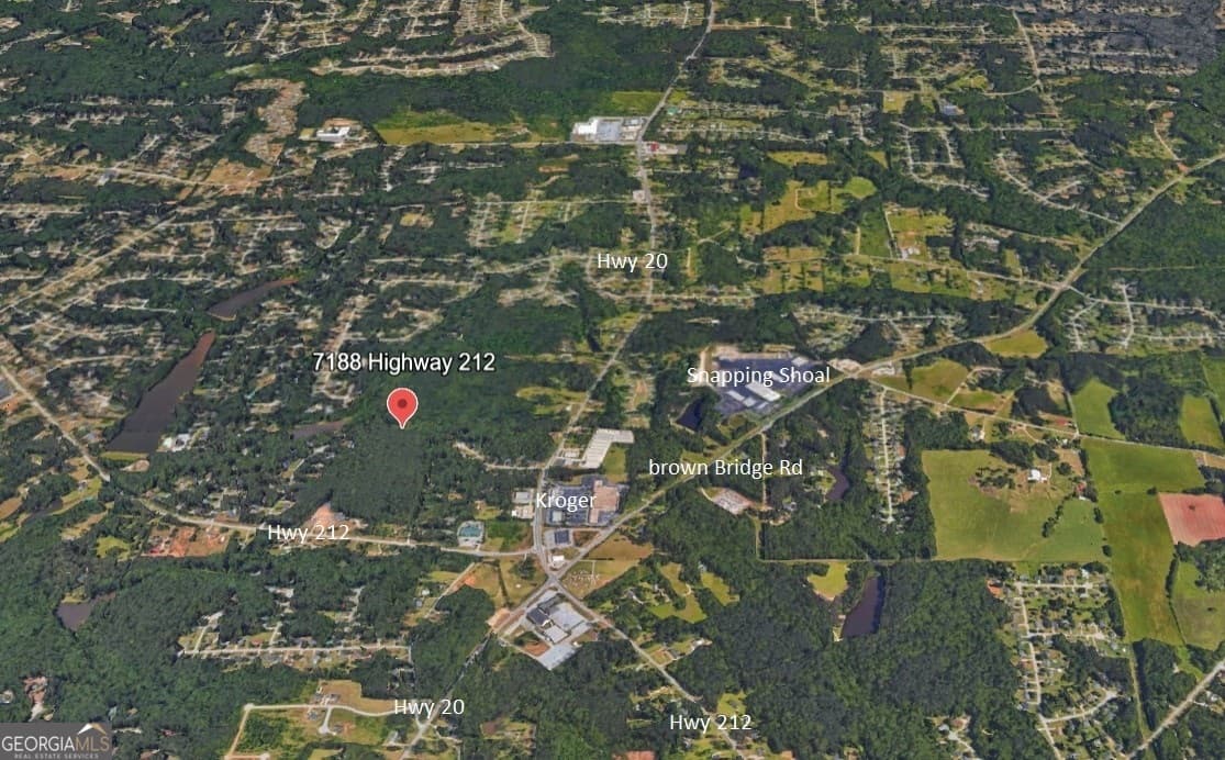 agriculture for sale at 0 SE Highway 212, Conyers, GA 30094 — photo 3