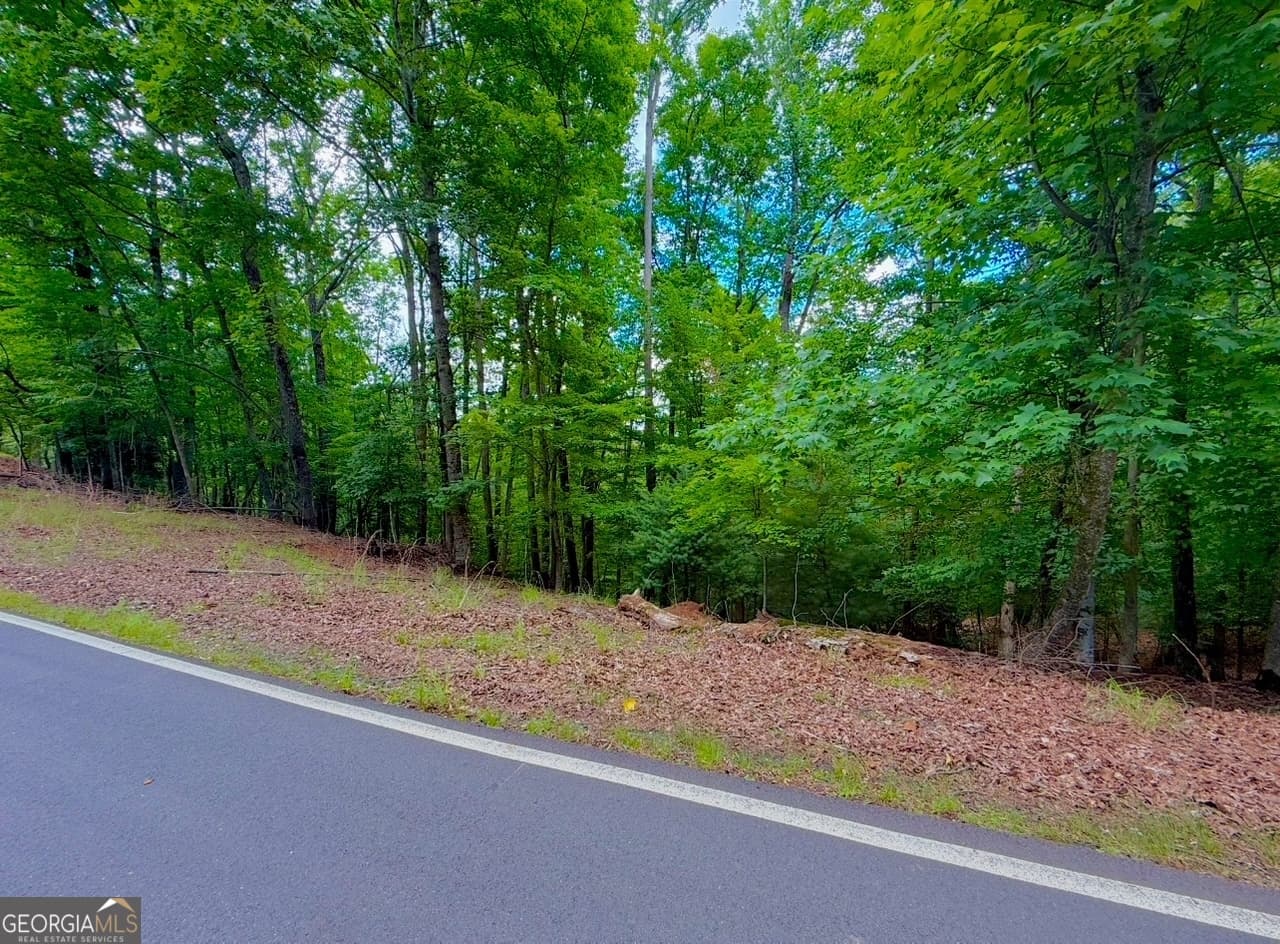 residential lot for sale at 2246 Palisade Drive, Ellijay, GA 30540 — photo 2