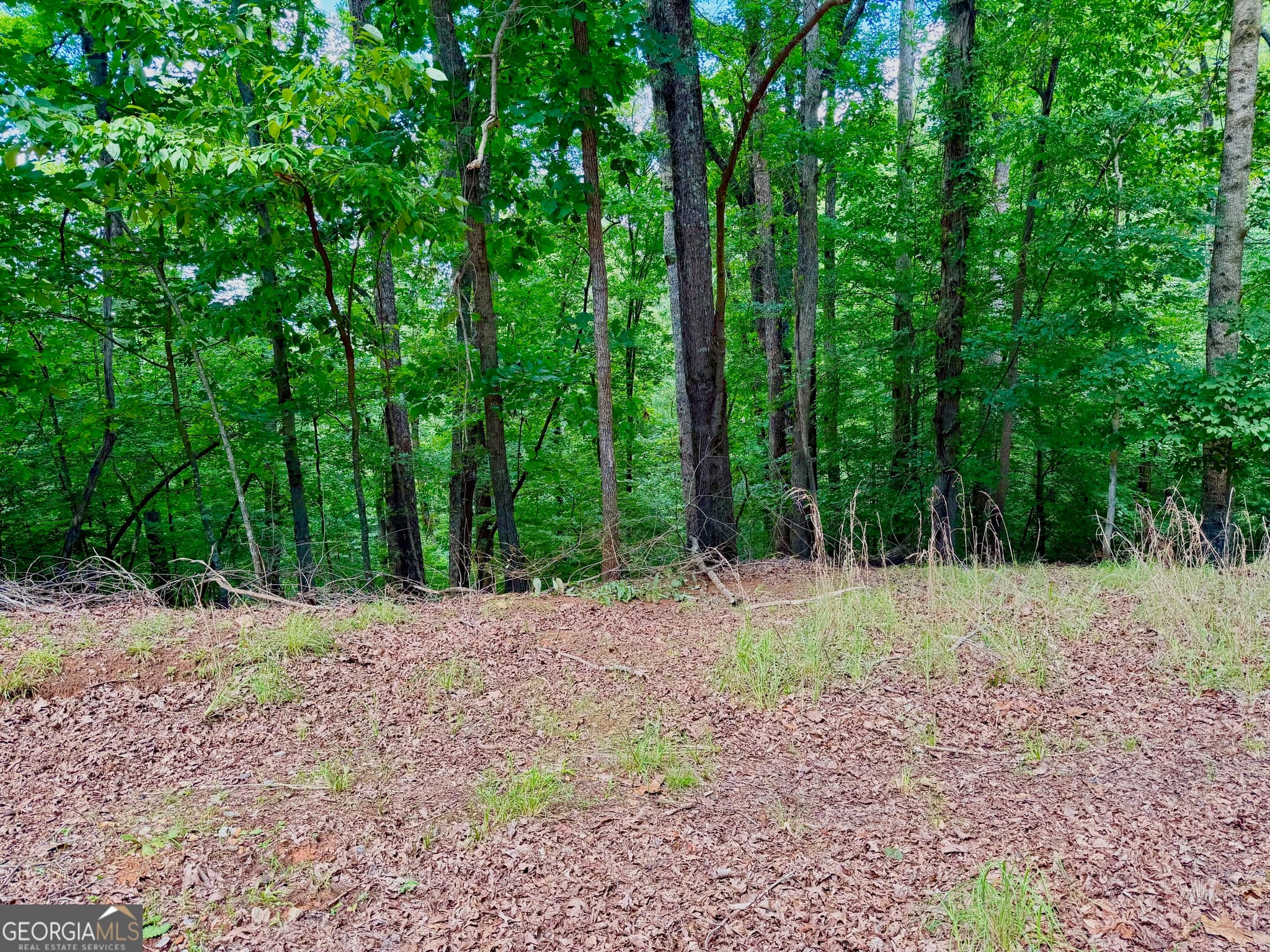 residential lot for sale at 2246 Palisade Drive, Ellijay, GA 30540 — photo 3