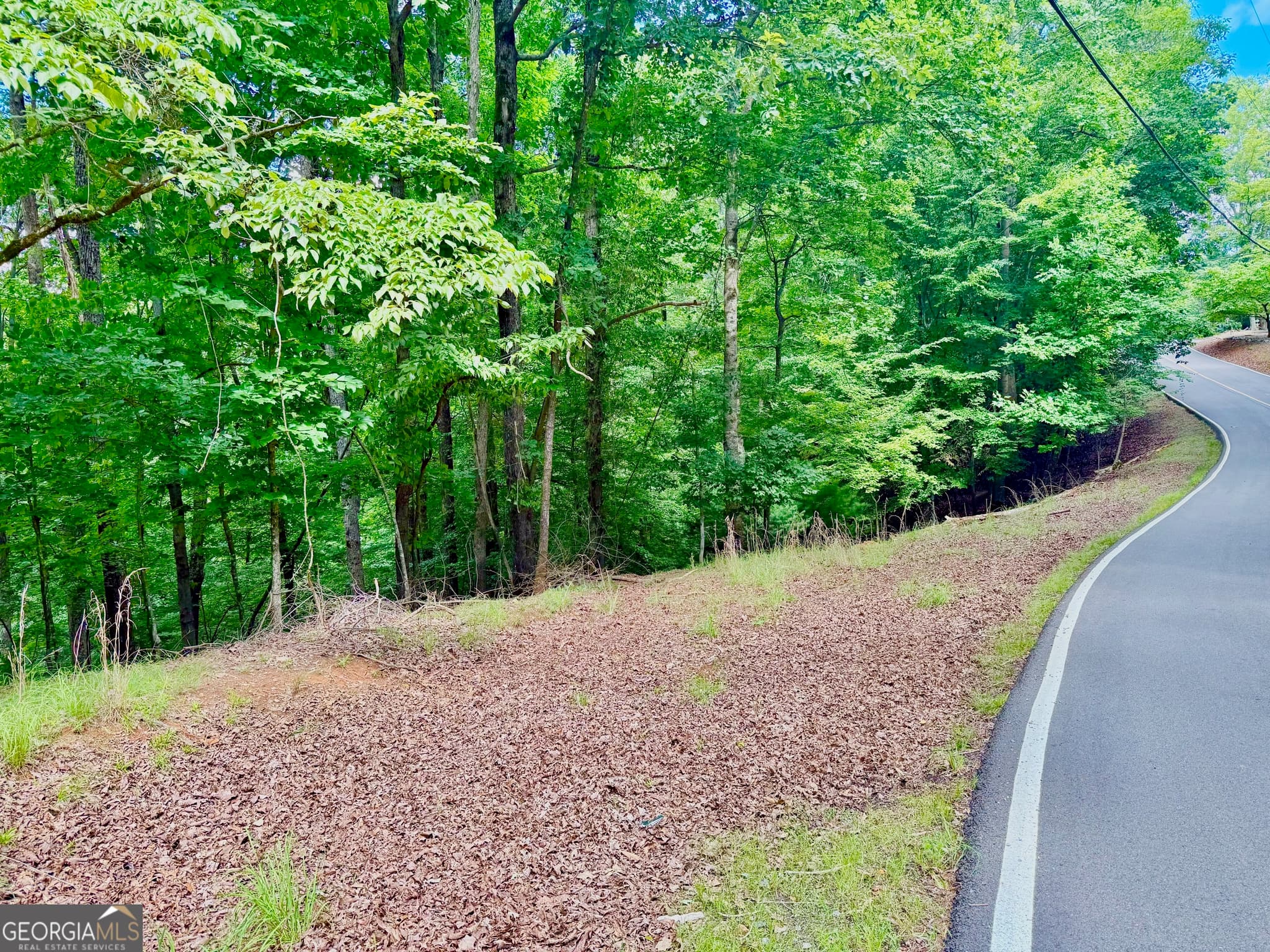 residential lot for sale at 2246 Palisade Drive, Ellijay, GA 30540 — photo 1 of 20