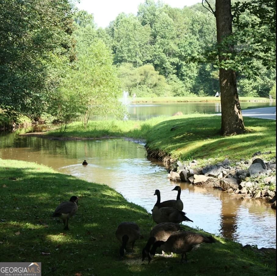 residential lot for sale at 2246 Palisade Drive, Ellijay, GA 30540 — photo 5