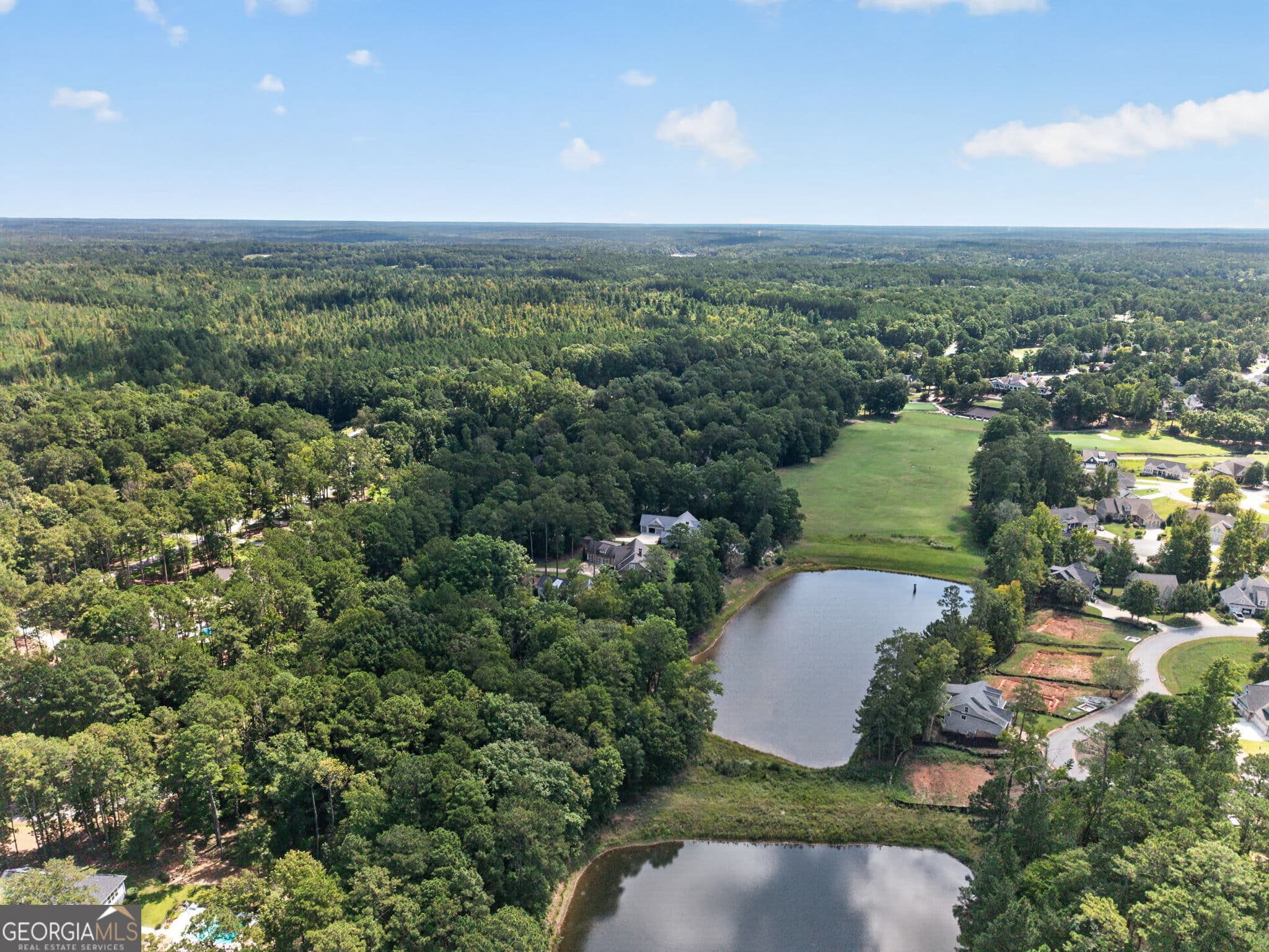 5 bedroom, 4.5 bathroom, 5,320 sq ft single family residence for sale at 1021 Inverness Drive, Greensboro, GA 30642 — photo 6