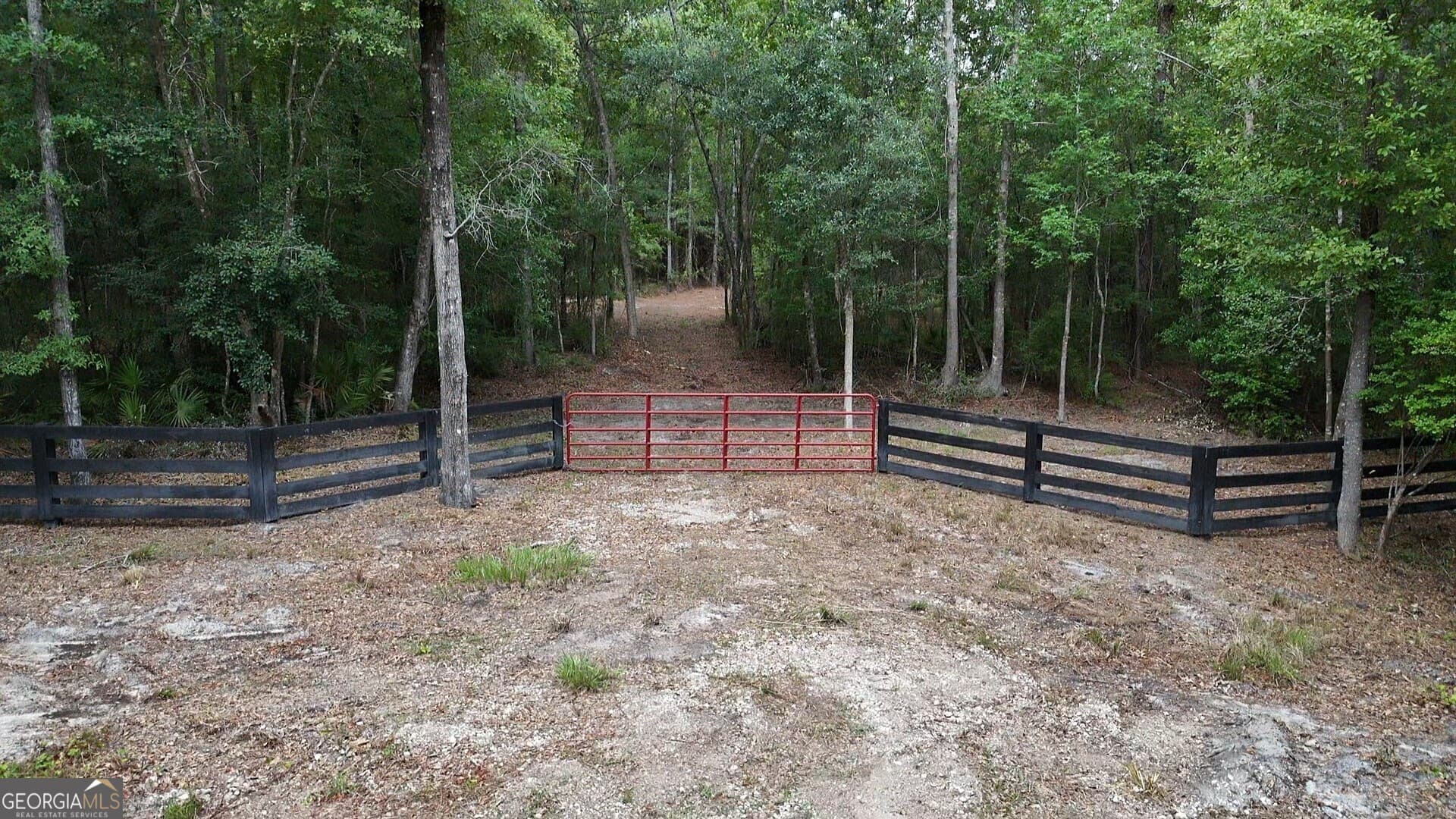 unimproved land for sale at LOT 8 Emmaus Church Road, St. George, GA 31562 — photo 2