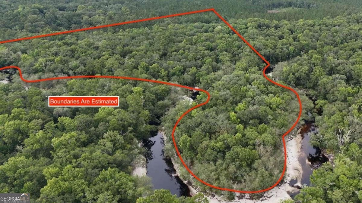 unimproved land for sale at LOT 8 Emmaus Church Road, St. George, GA 31562 — photo 6