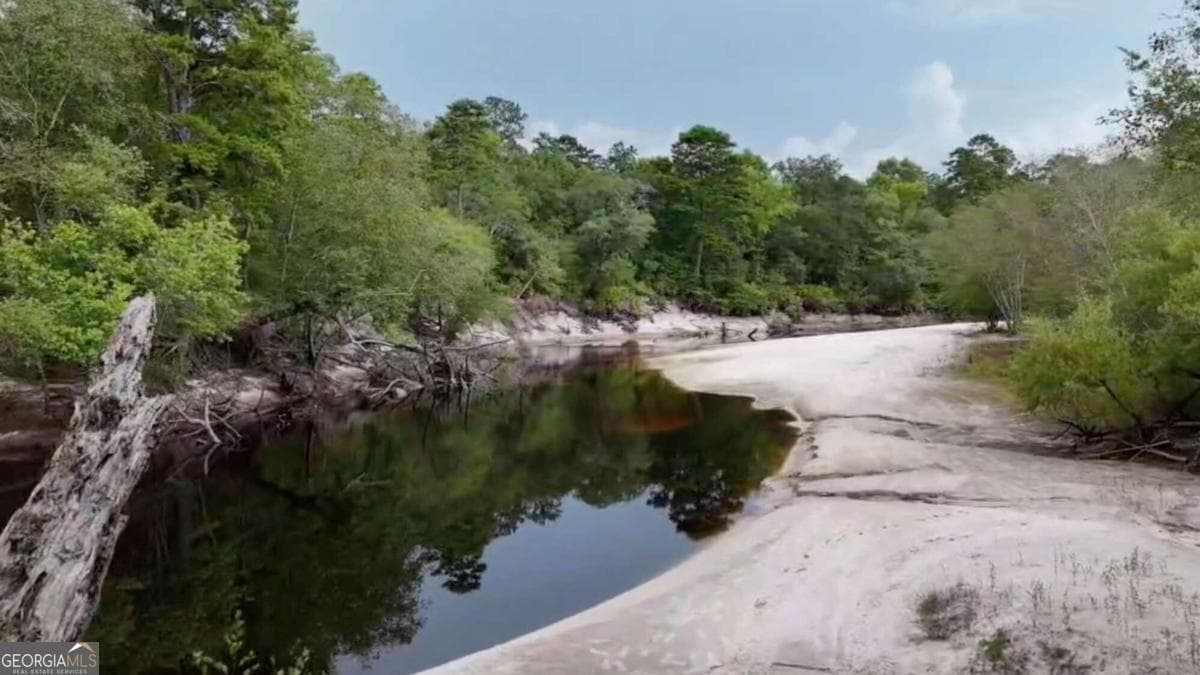 unimproved land for sale at LOT 8 Emmaus Church Road, St. George, GA 31562 — photo 7