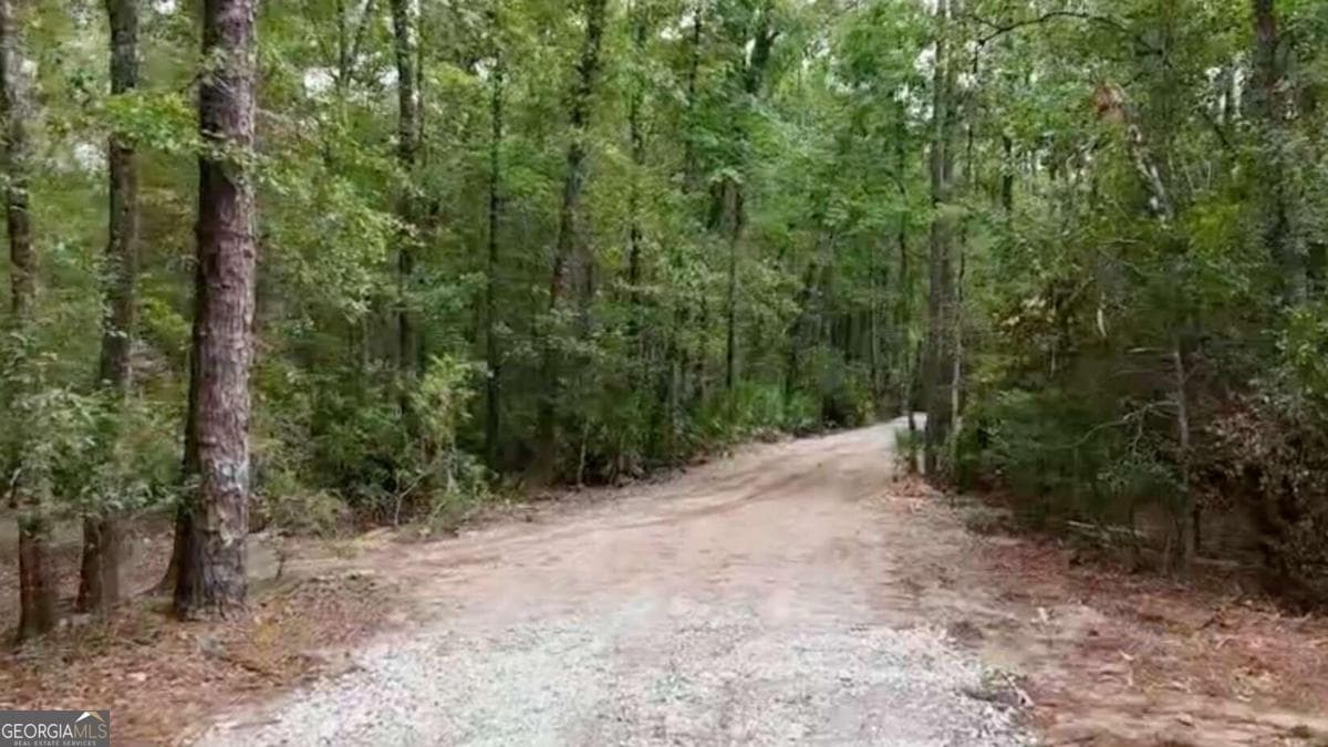 unimproved land for sale at LOT 8 Emmaus Church Road, St. George, GA 31562 — photo 3