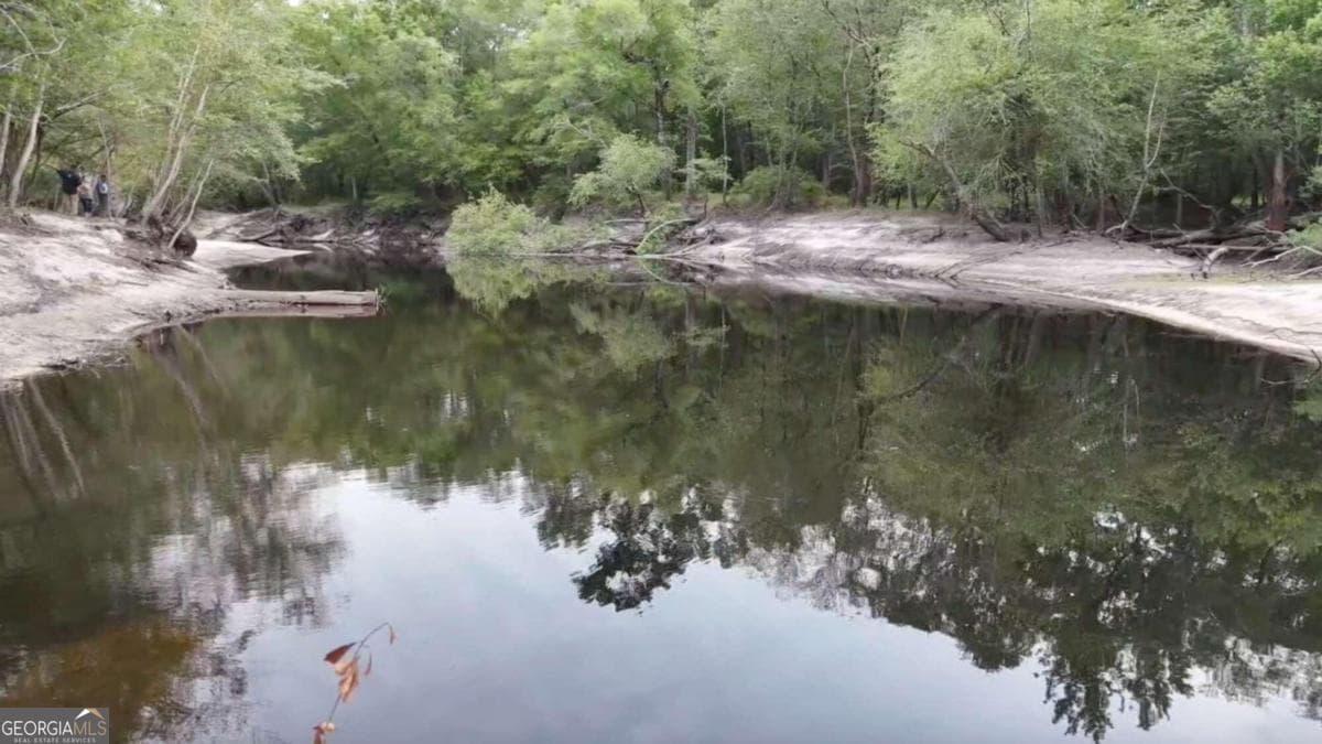 unimproved land for sale at LOT 8 Emmaus Church Road, St. George, GA 31562