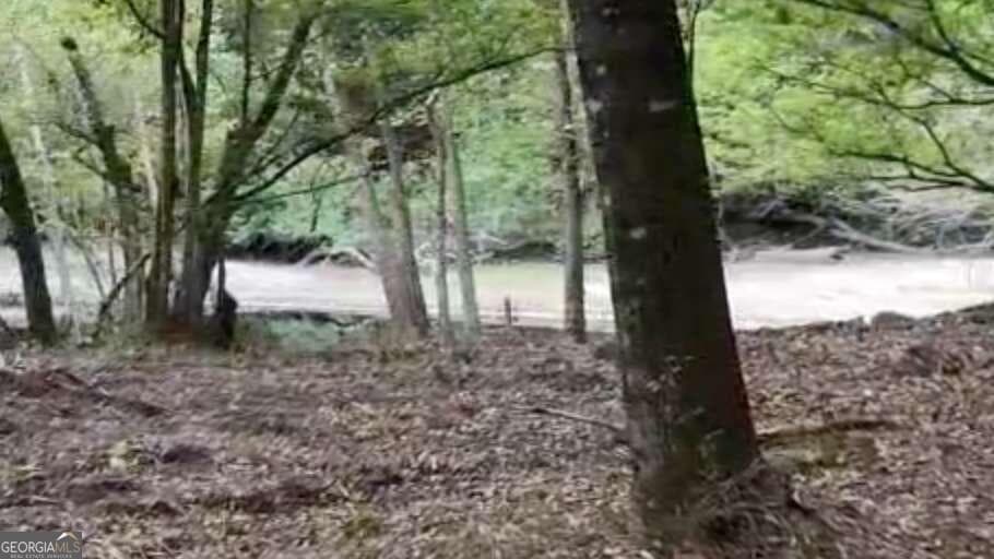 unimproved land for sale at LOT 8 Emmaus Church Road, St. George, GA 31562 — photo 5