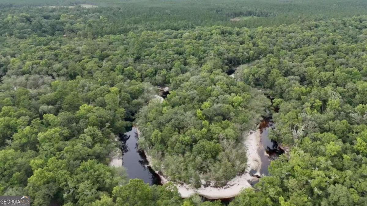unimproved land for sale at LOT 8 Emmaus Church Road, St. George, GA 31562 — photo 4