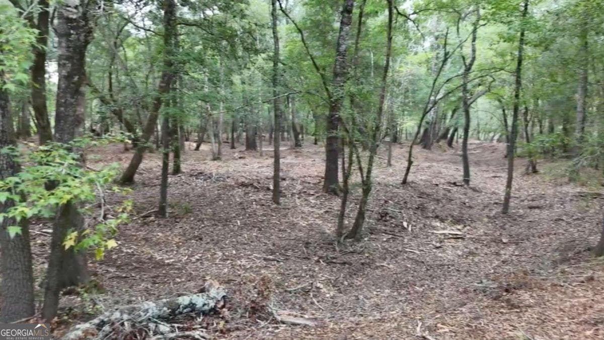 unimproved land for sale at LOT 8 Emmaus Church Road, St. George, GA 31562 — photo 8