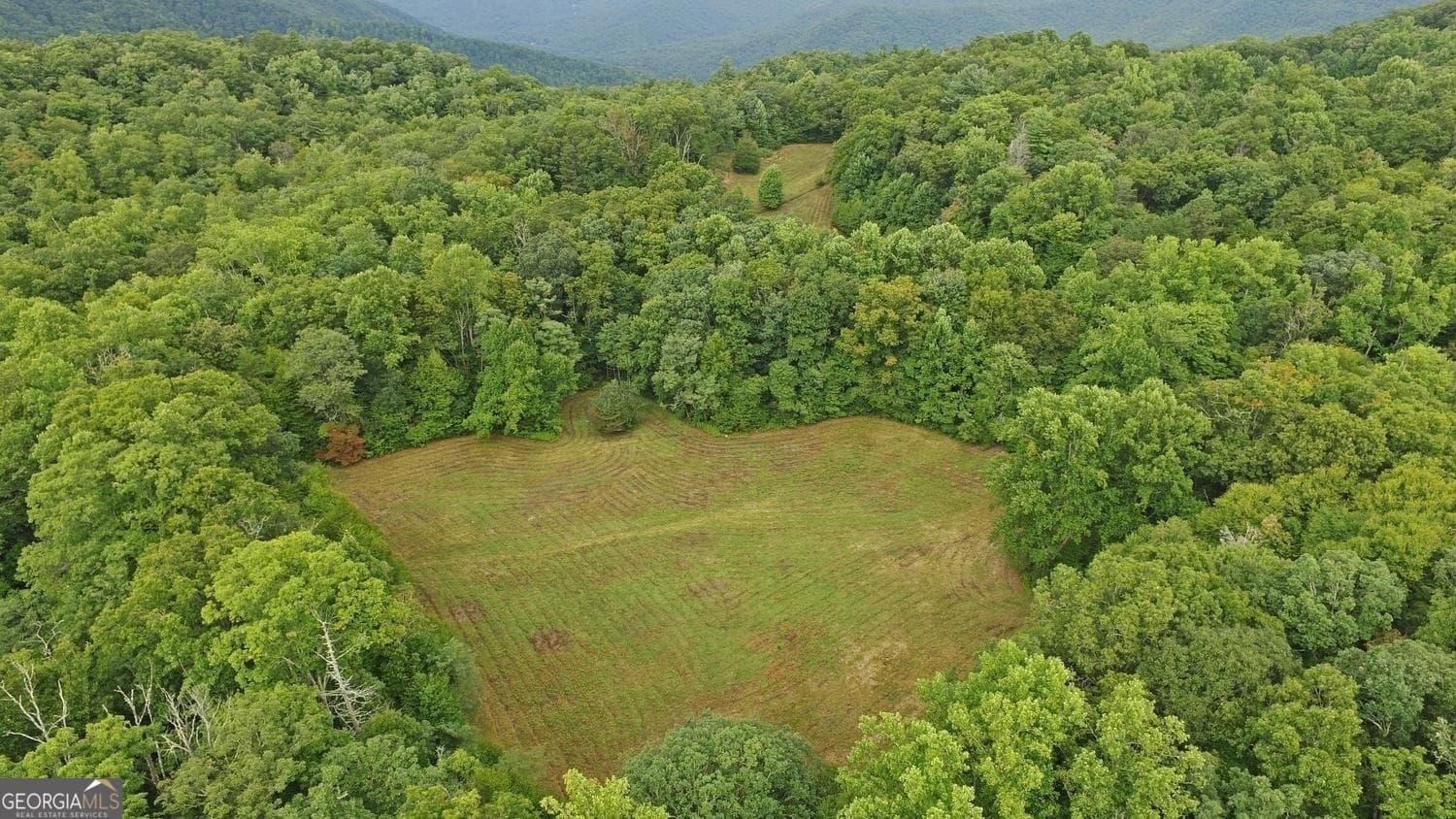 3 bedroom, 2 bathroom, 1,532 sq ft cabin,single family residence for sale at 0 Lloyds Cove, Scaly Mountain, NC 28775 — photo 9