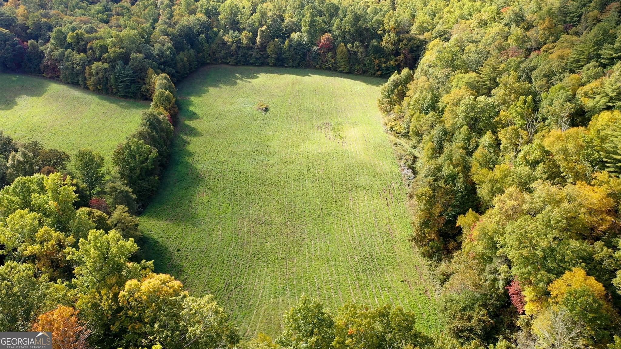 3 bedroom, 2 bathroom, 1,532 sq ft cabin,single family residence for sale at 0 Lloyds Cove, Scaly Mountain, NC 28775 — photo 10