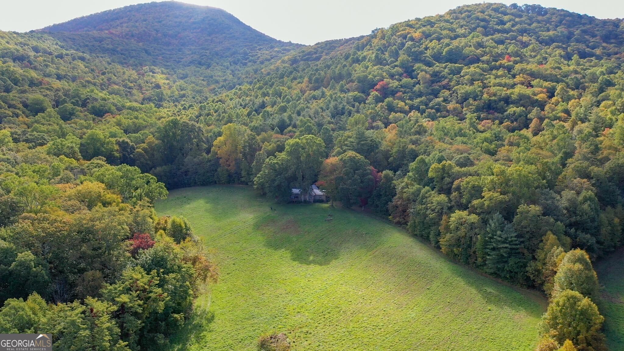 3 bedroom, 2 bathroom, 1,532 sq ft cabin,single family residence for sale at 0 Lloyds Cove, Scaly Mountain, NC 28775 — photo 4
