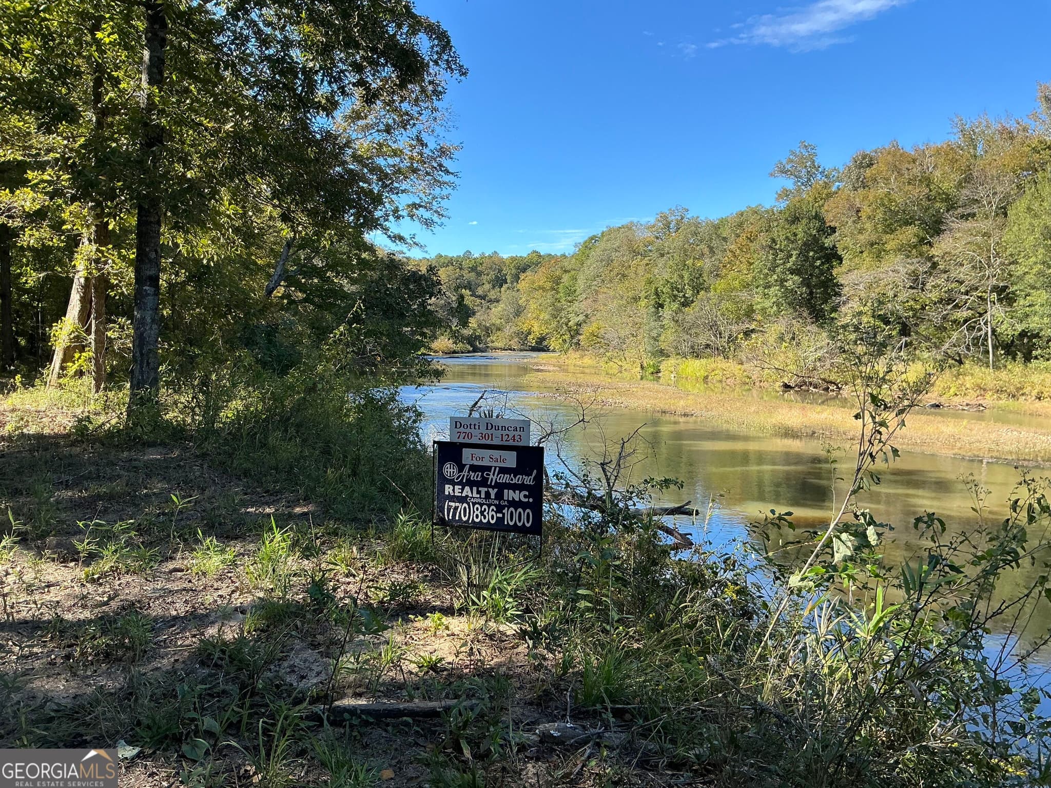 unimproved land for sale at 0 Hwy 36 8, Woodland, GA 31836 — photo 2