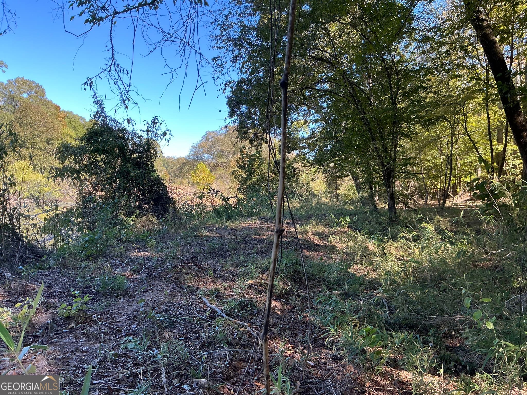 unimproved land for sale at 0 Hwy 36 8, Woodland, GA 31836 — photo 6
