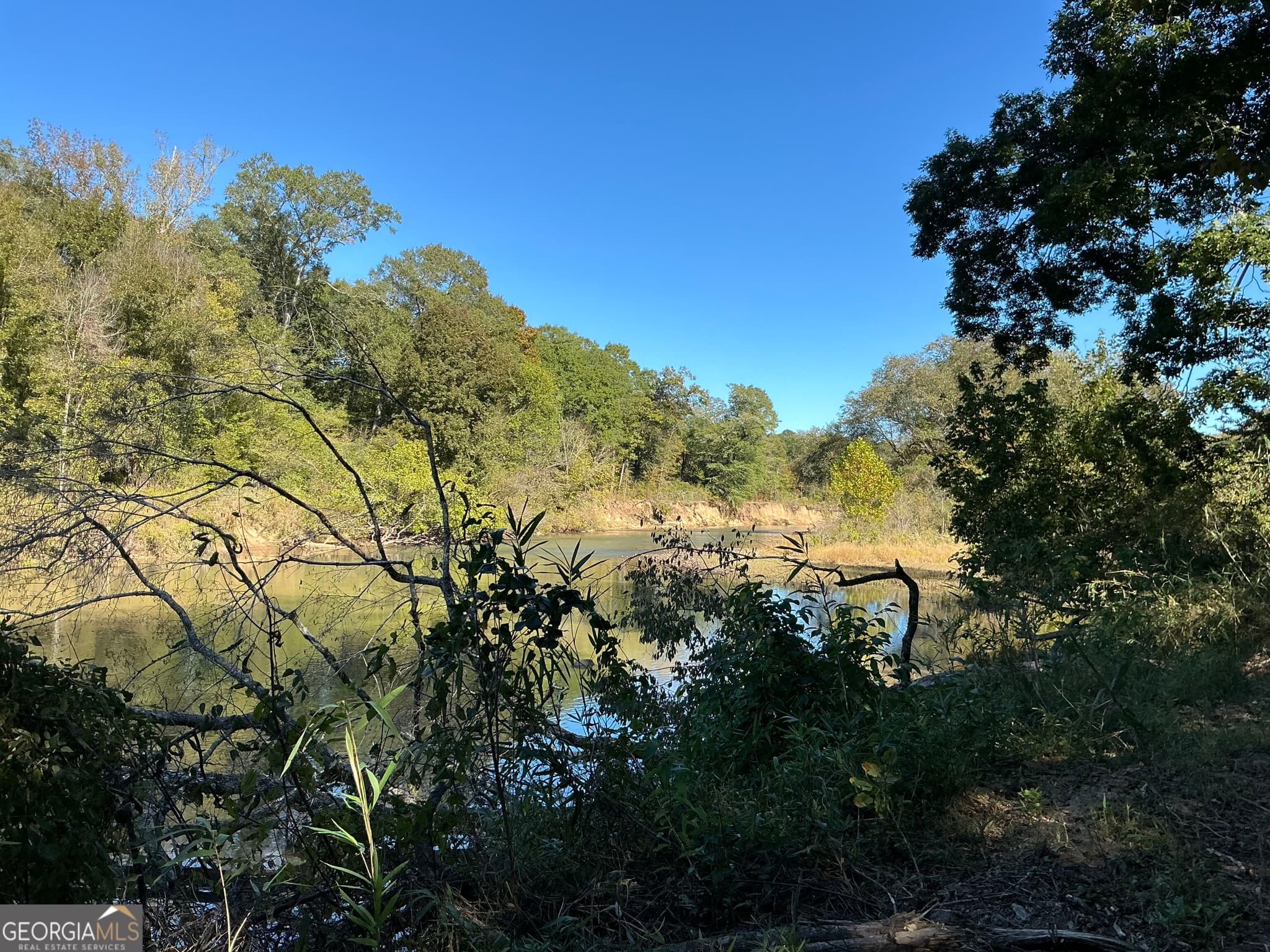 unimproved land for sale at 0 Hwy 36 8, Woodland, GA 31836 — photo 3