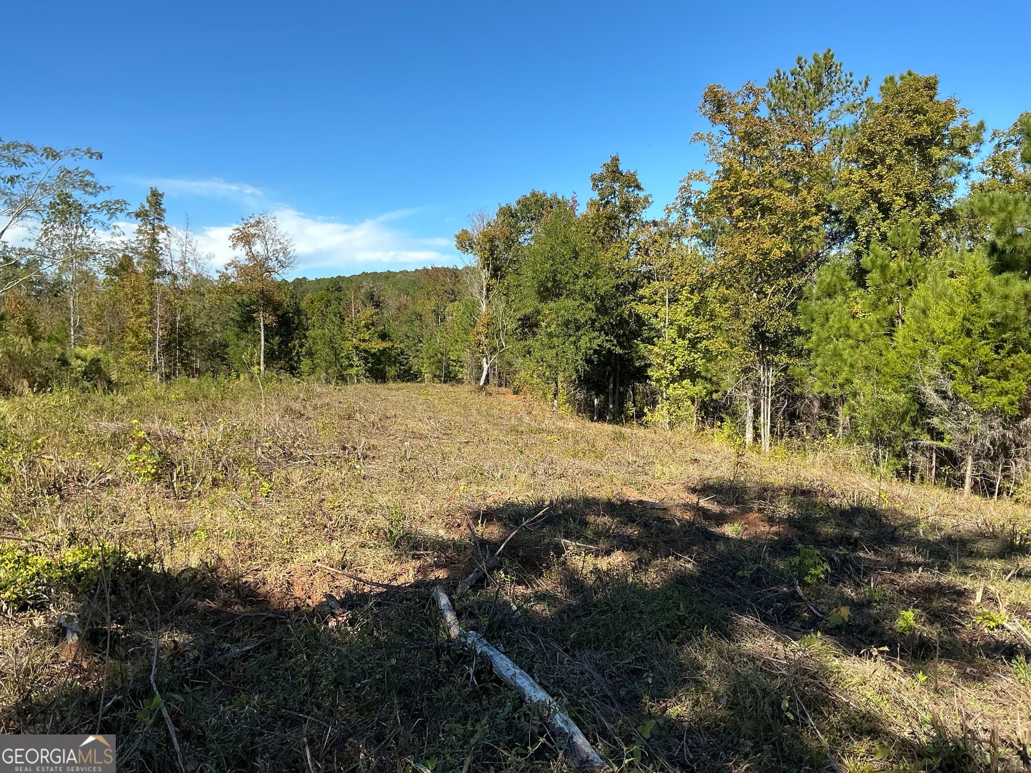 unimproved land for sale at 0 Hwy 36 8, Woodland, GA 31836 — photo 5