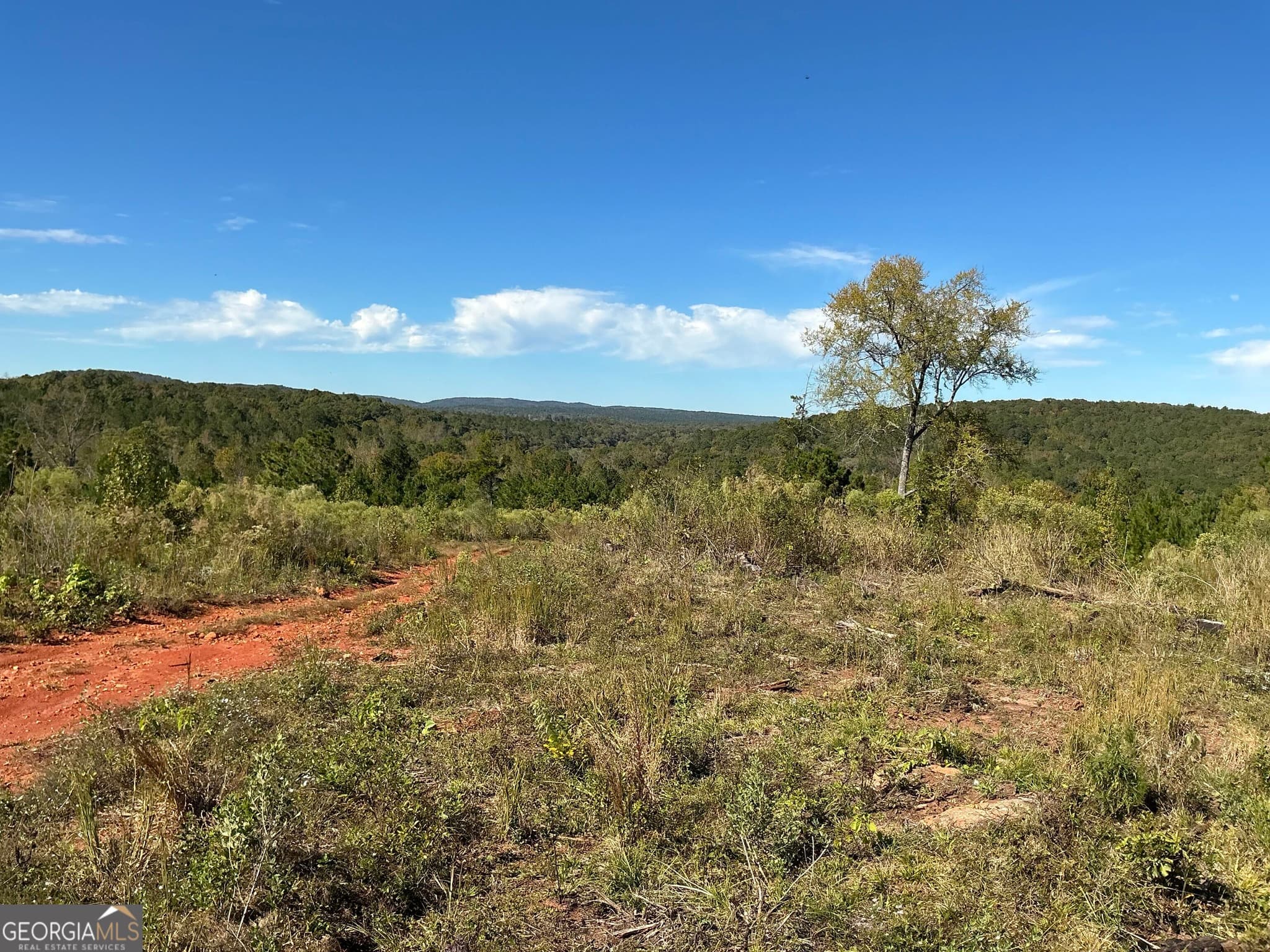 unimproved land for sale at 0 Hwy 36 8, Woodland, GA 31836 — photo 9