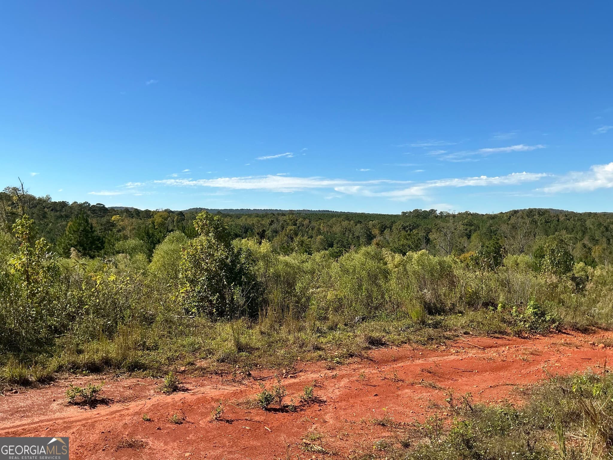 unimproved land for sale at 0 Hwy 36 8, Woodland, GA 31836 — photo 10