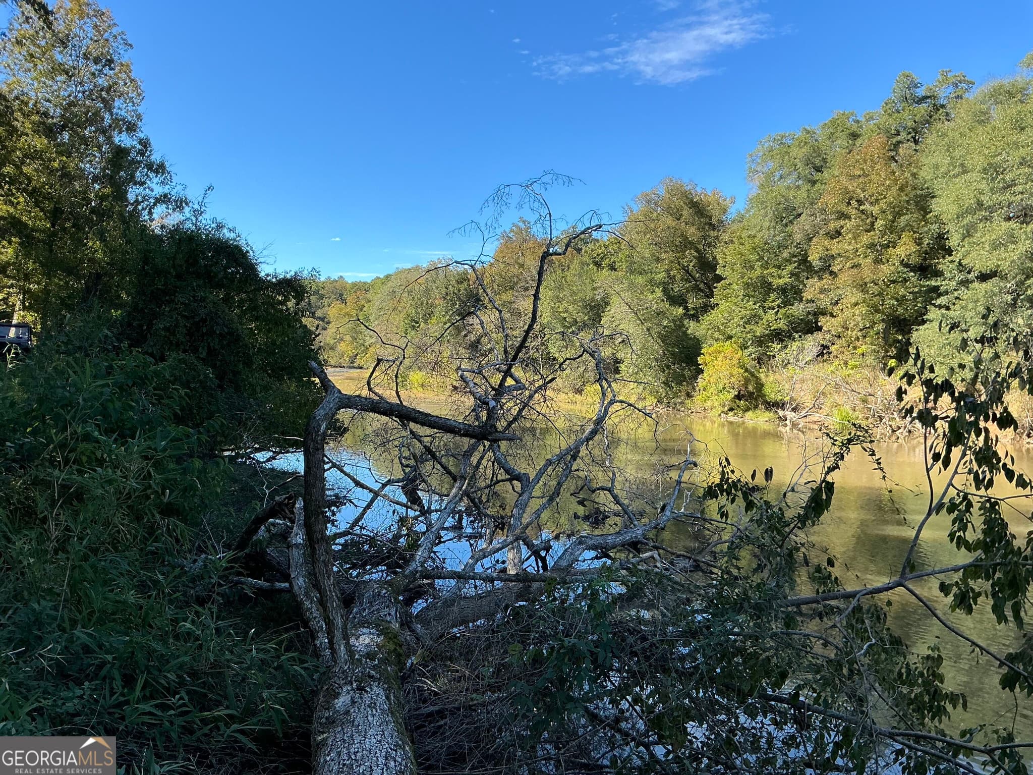 unimproved land for sale at 0 Hwy 36 8, Woodland, GA 31836 — photo 4