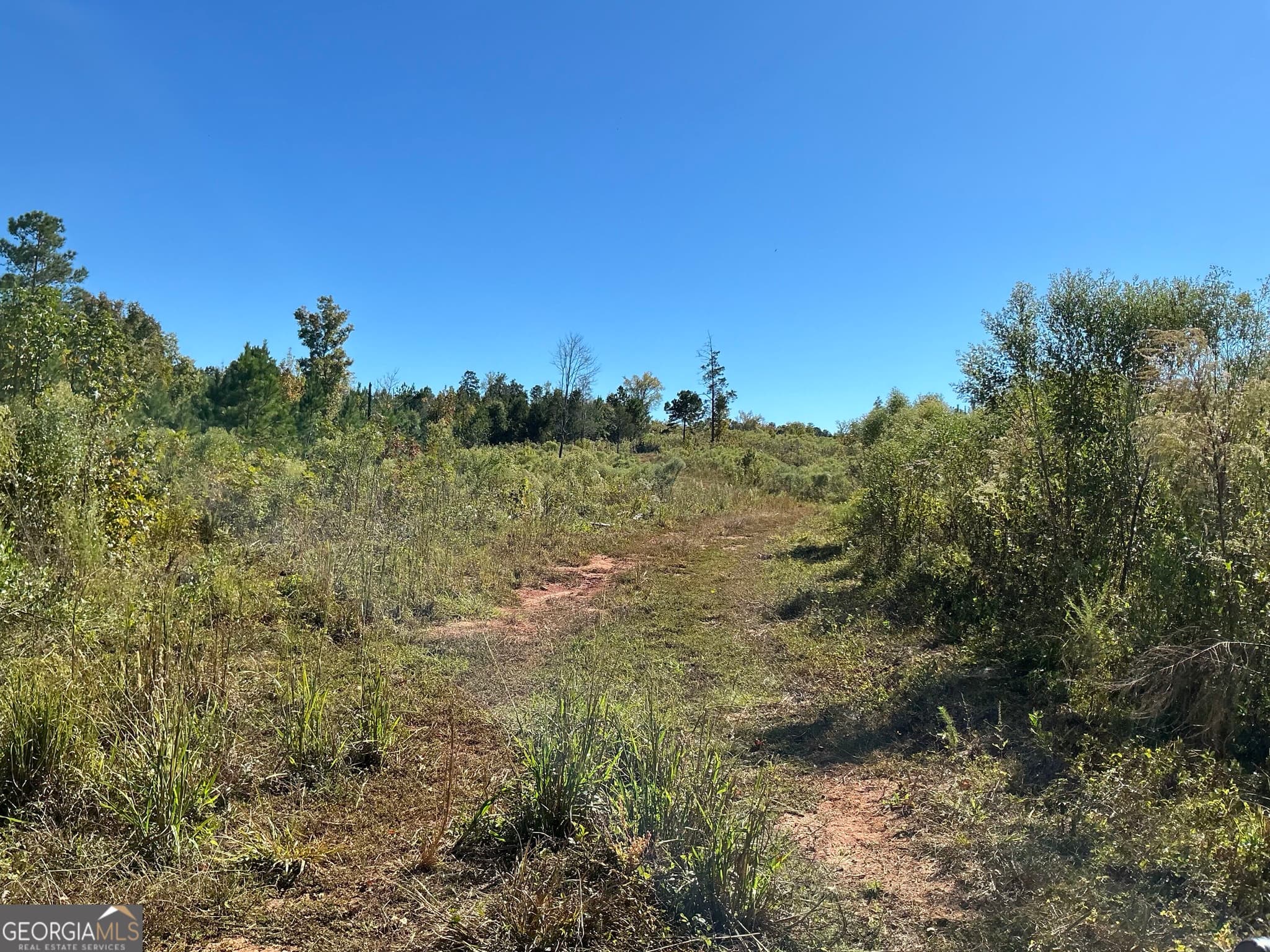 unimproved land for sale at 0 Hwy 36 8, Woodland, GA 31836 — photo 8