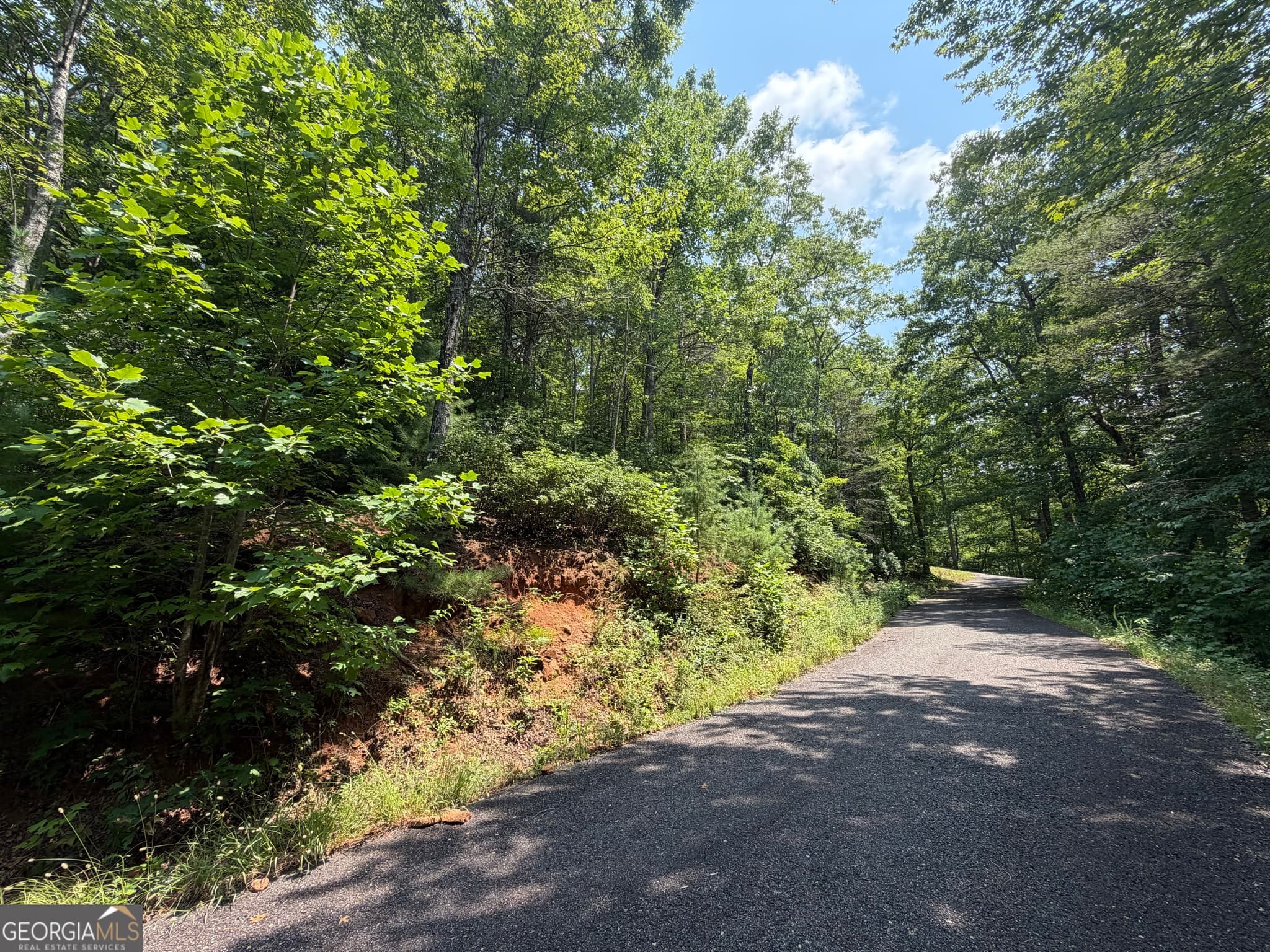residential lot for sale at 0 Whisper Ridge Court, Hiawassee, GA 30546 — photo 2