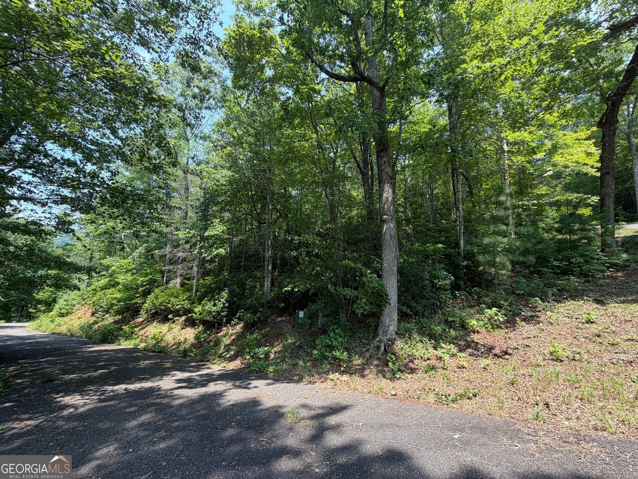 residential lot for sale at 0 Whisper Ridge Court, Hiawassee, GA 30546 — photo 3