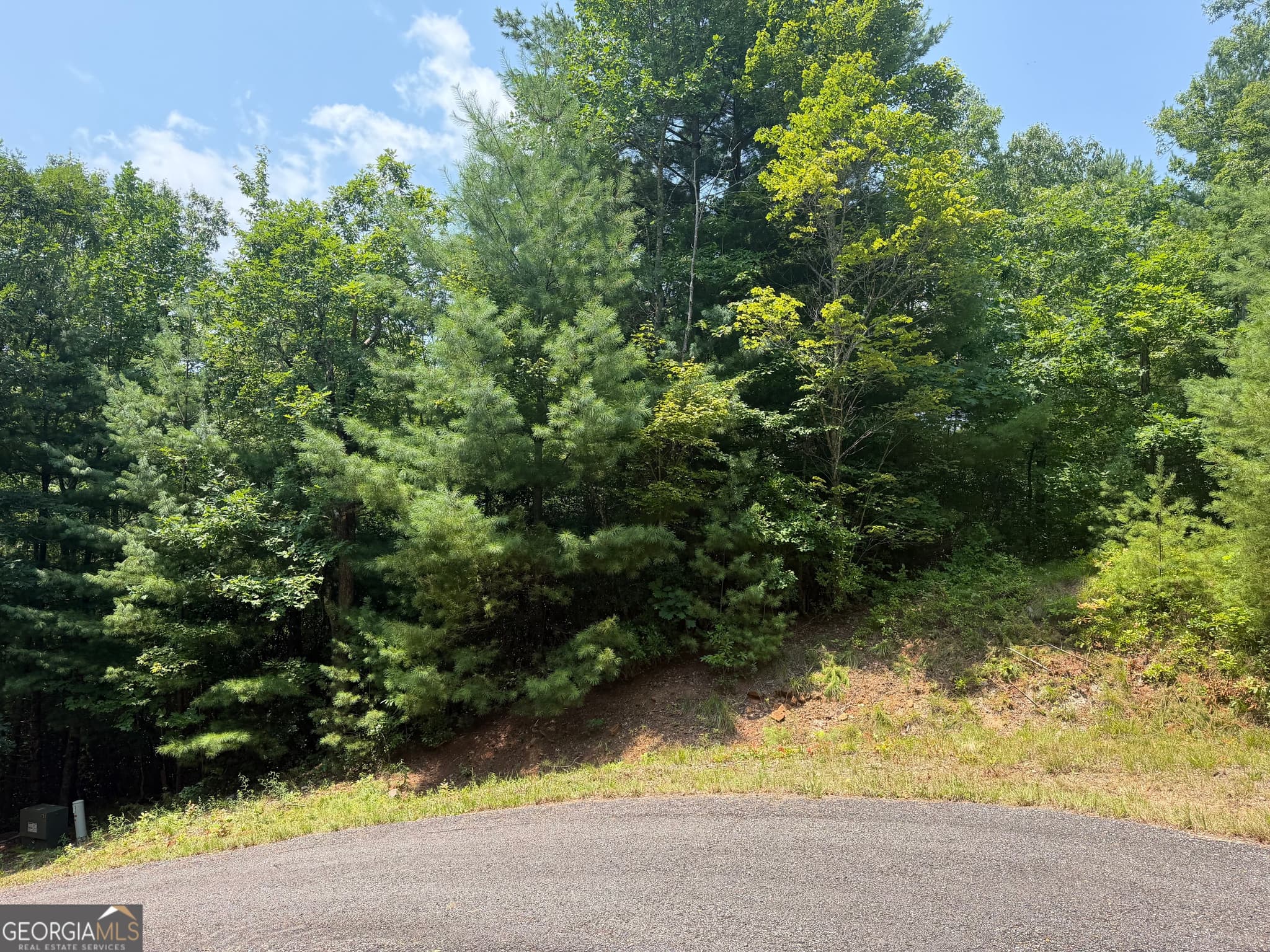 residential lot for sale at 0 Whisper Ridge Court, Hiawassee, GA 30546 — photo 1 of 19