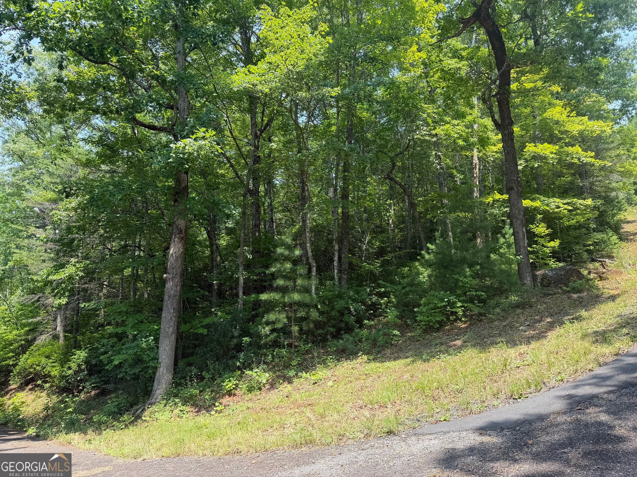 residential lot for sale at 0 Whisper Ridge Court, Hiawassee, GA 30546 — photo 4