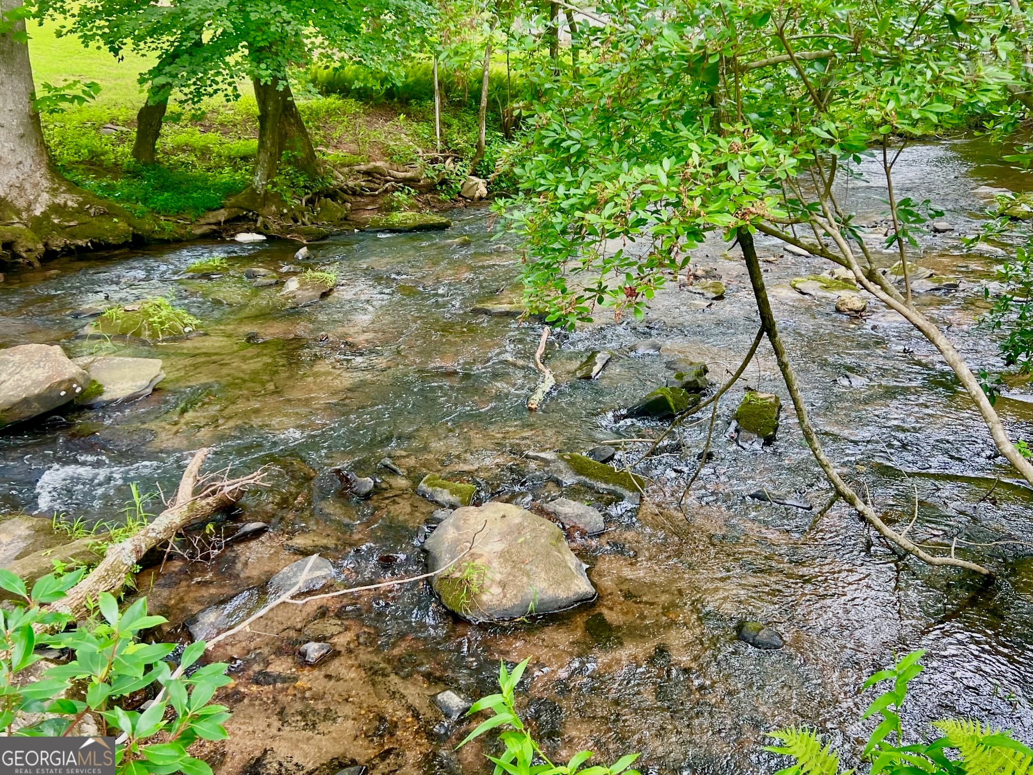 residential lot for sale at 193 Opossum Road, Blairsville, GA 30512 — photo 1 of 27