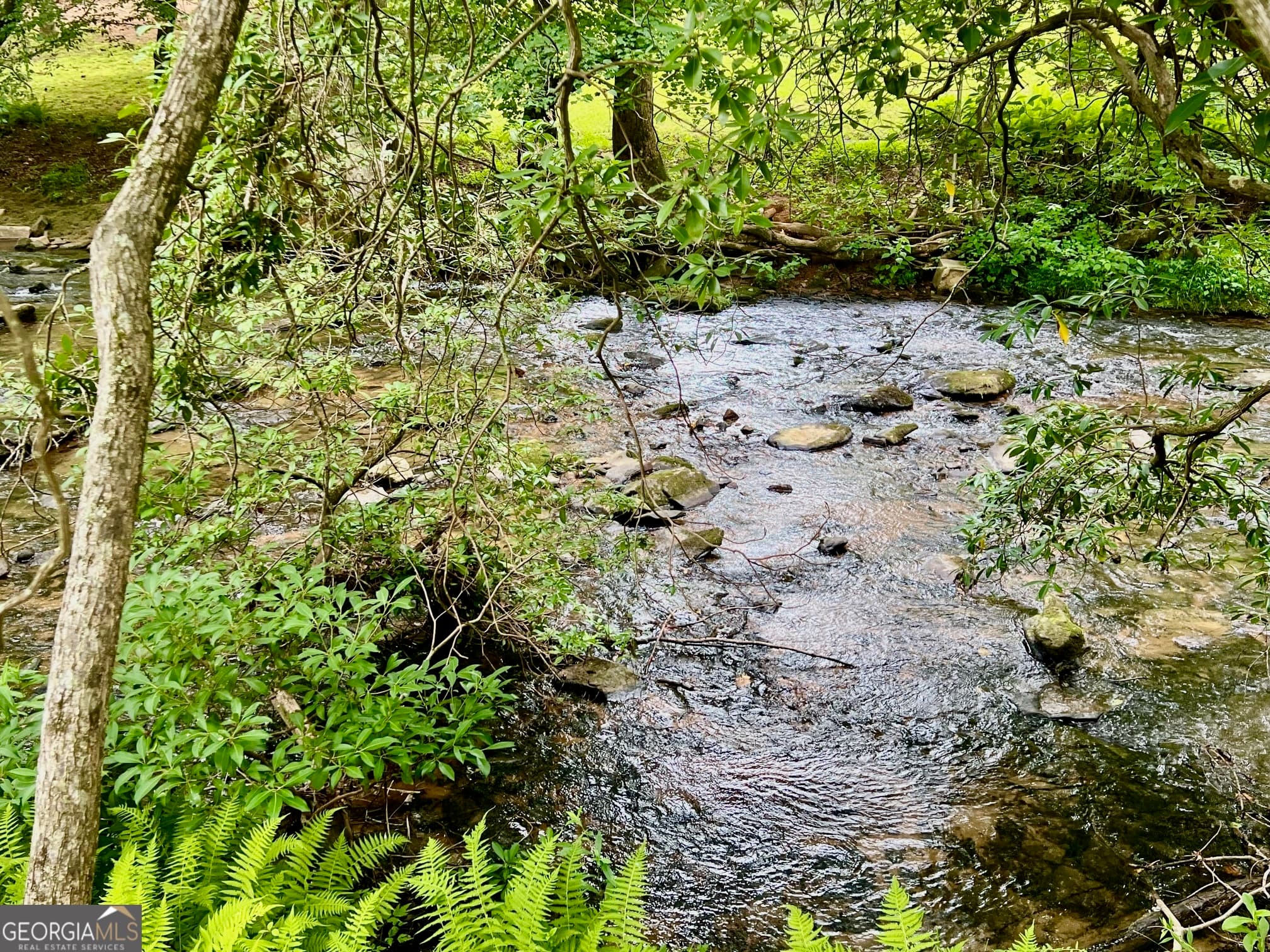 residential lot for sale at 193 Opossum Road, Blairsville, GA 30512 — photo 5