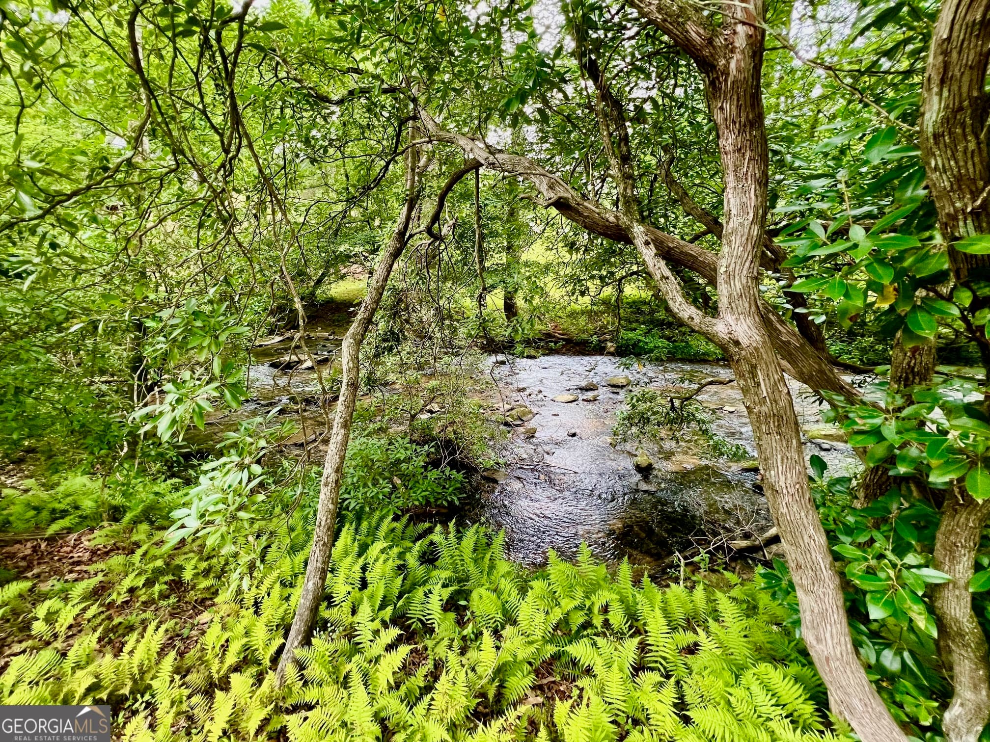 residential lot for sale at 193 Opossum Road, Blairsville, GA 30512 — photo 9