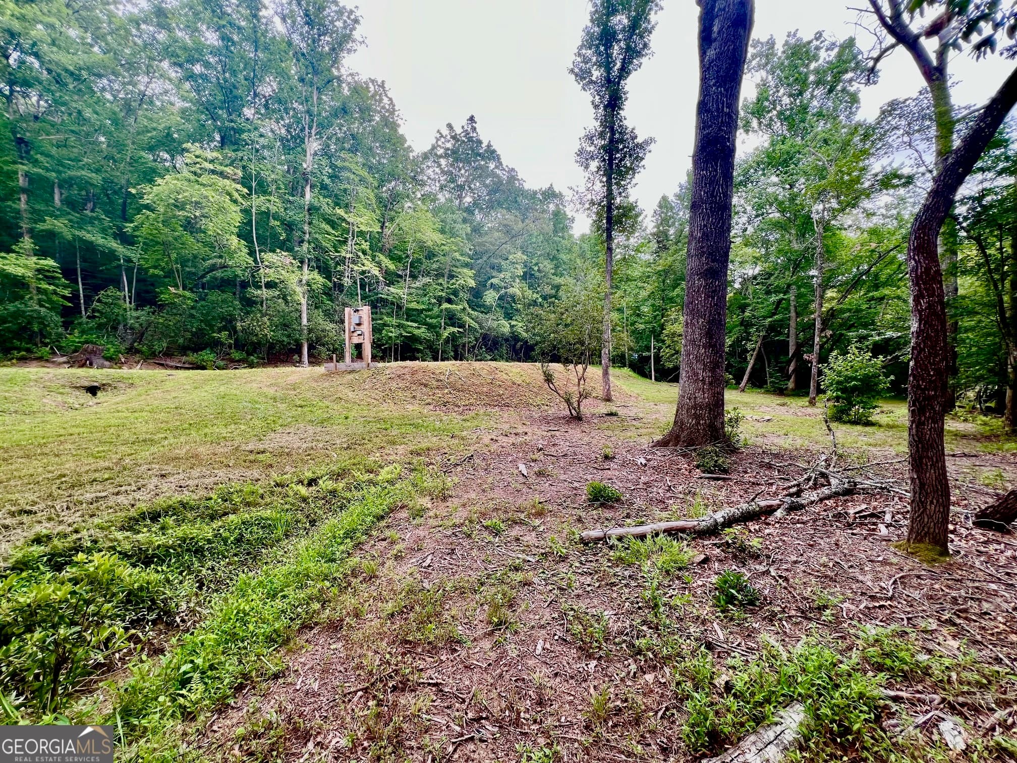 residential lot for sale at 193 Opossum Road, Blairsville, GA 30512 — photo 10
