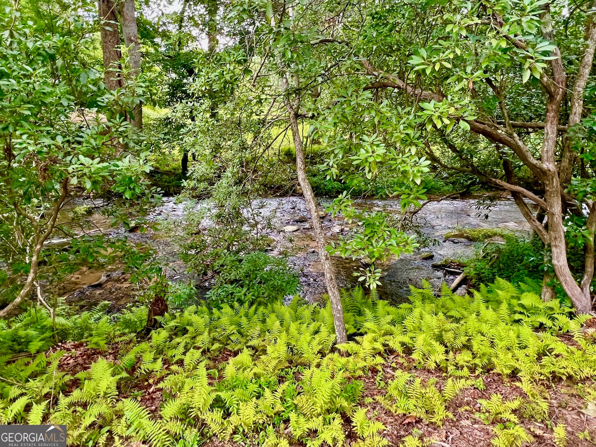 residential lot for sale at 193 Opossum Road, Blairsville, GA 30512 — photo 4