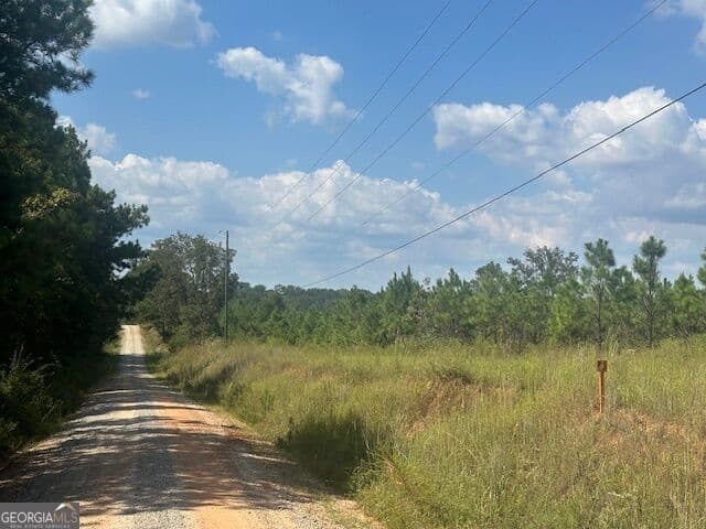 agriculture for sale at 0 Cook Road TRACT #10, Monticello, GA 31064 — photo 2
